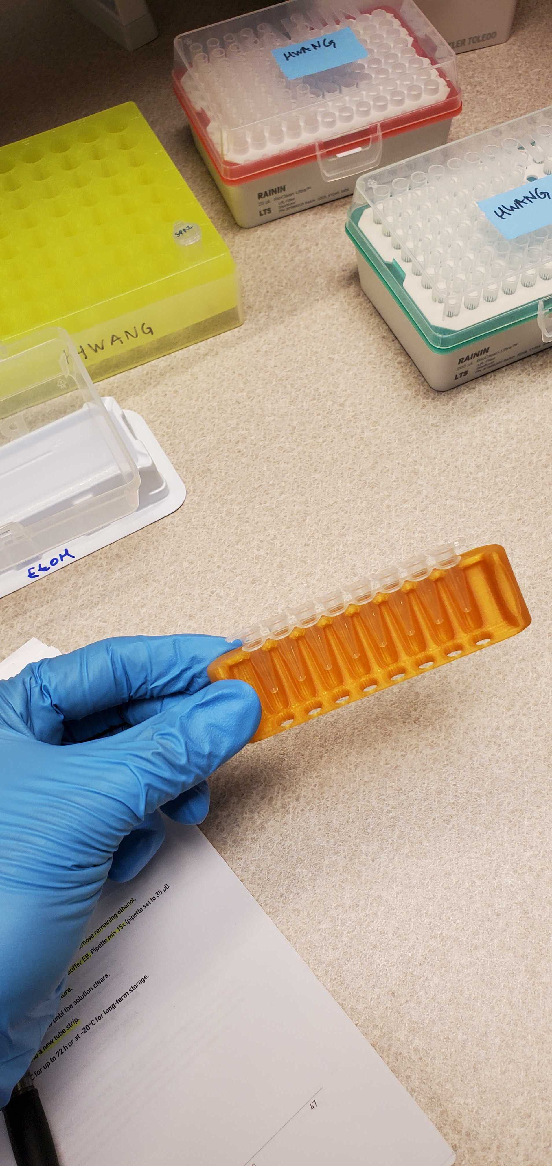 PCR Tube Strip Holder by Meximaker Download free STL model