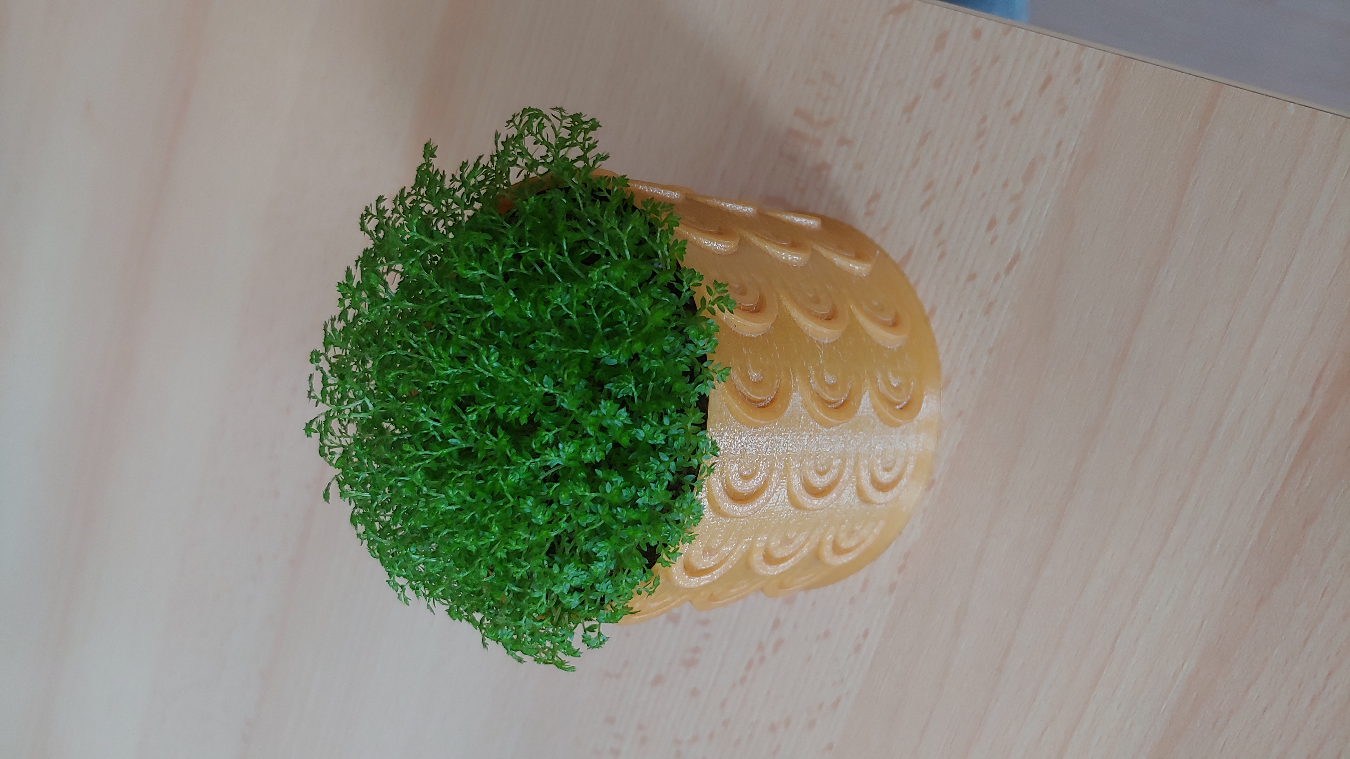 Flower pot