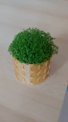 Flower pot