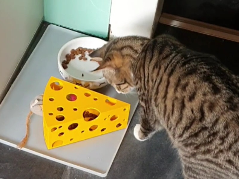 Cheesy Cat Toy