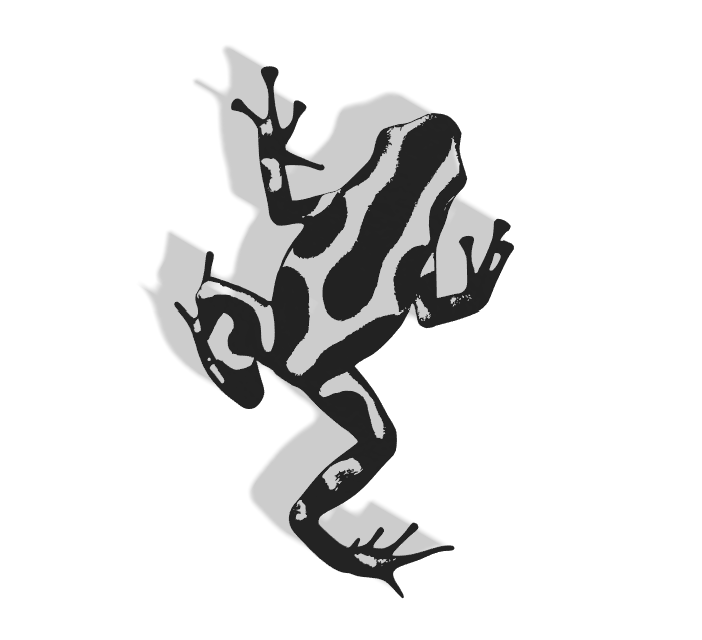 Frog Decor