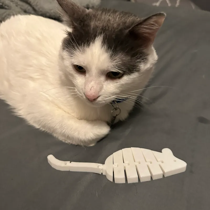 cat love 3D Models to Print - yeggi