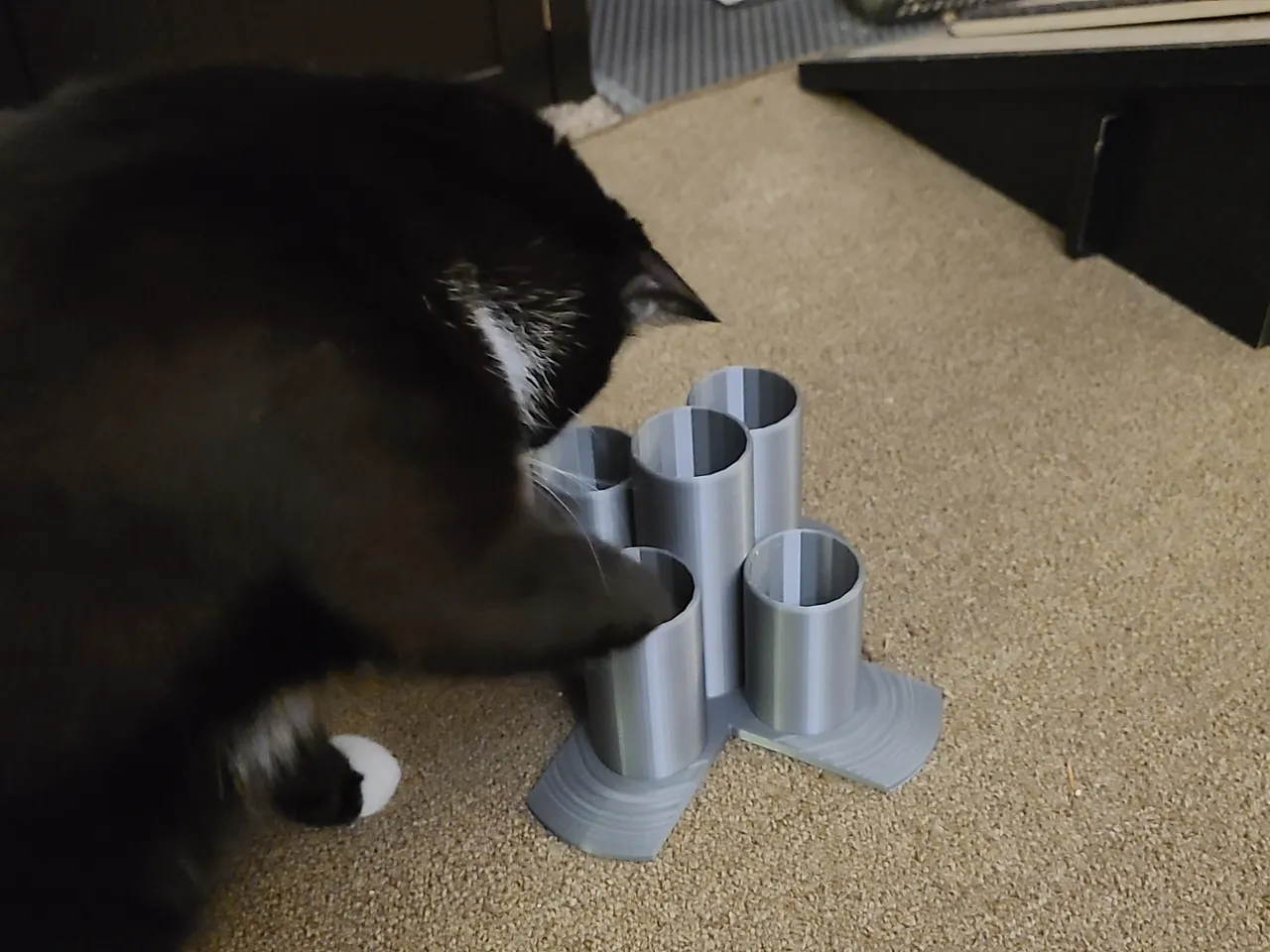 Cat Enrichment Project for Kids: DIY Treat Toy Puzzle