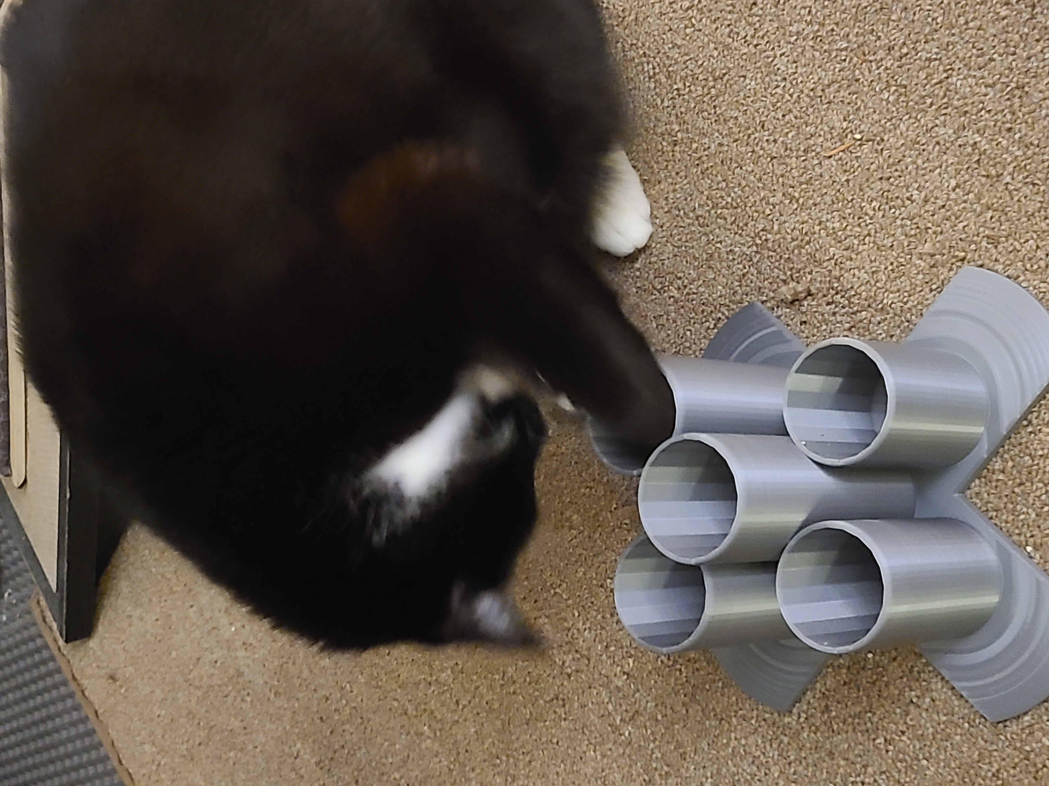 Treat Tower - Enrichment Puzzle!