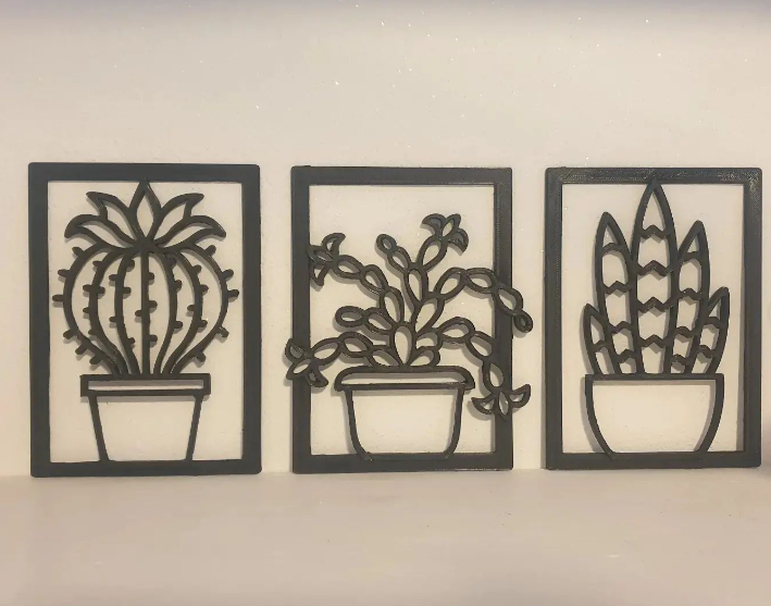 Cactus Pictures