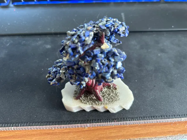 Artistic Tree Scan