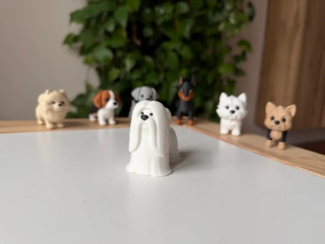 Lhasa Apso