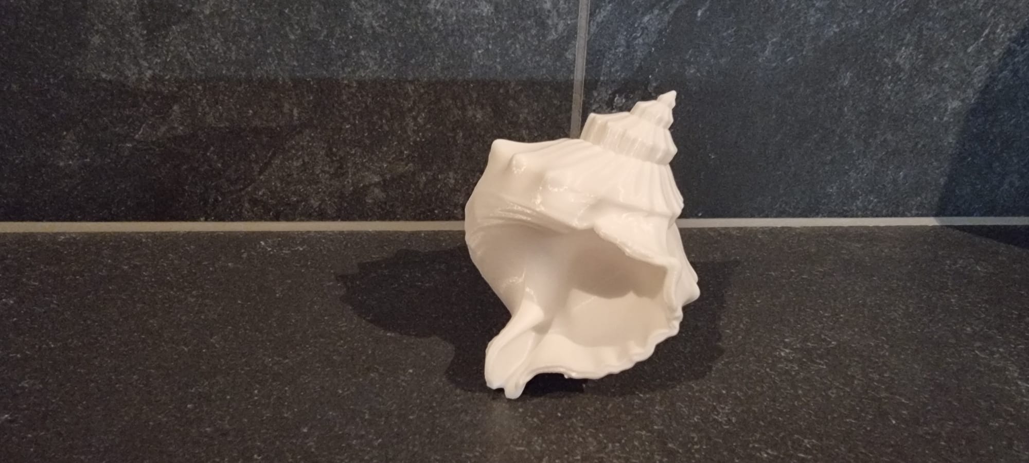 Miniatura 8 do modelo 3D Shell Decor