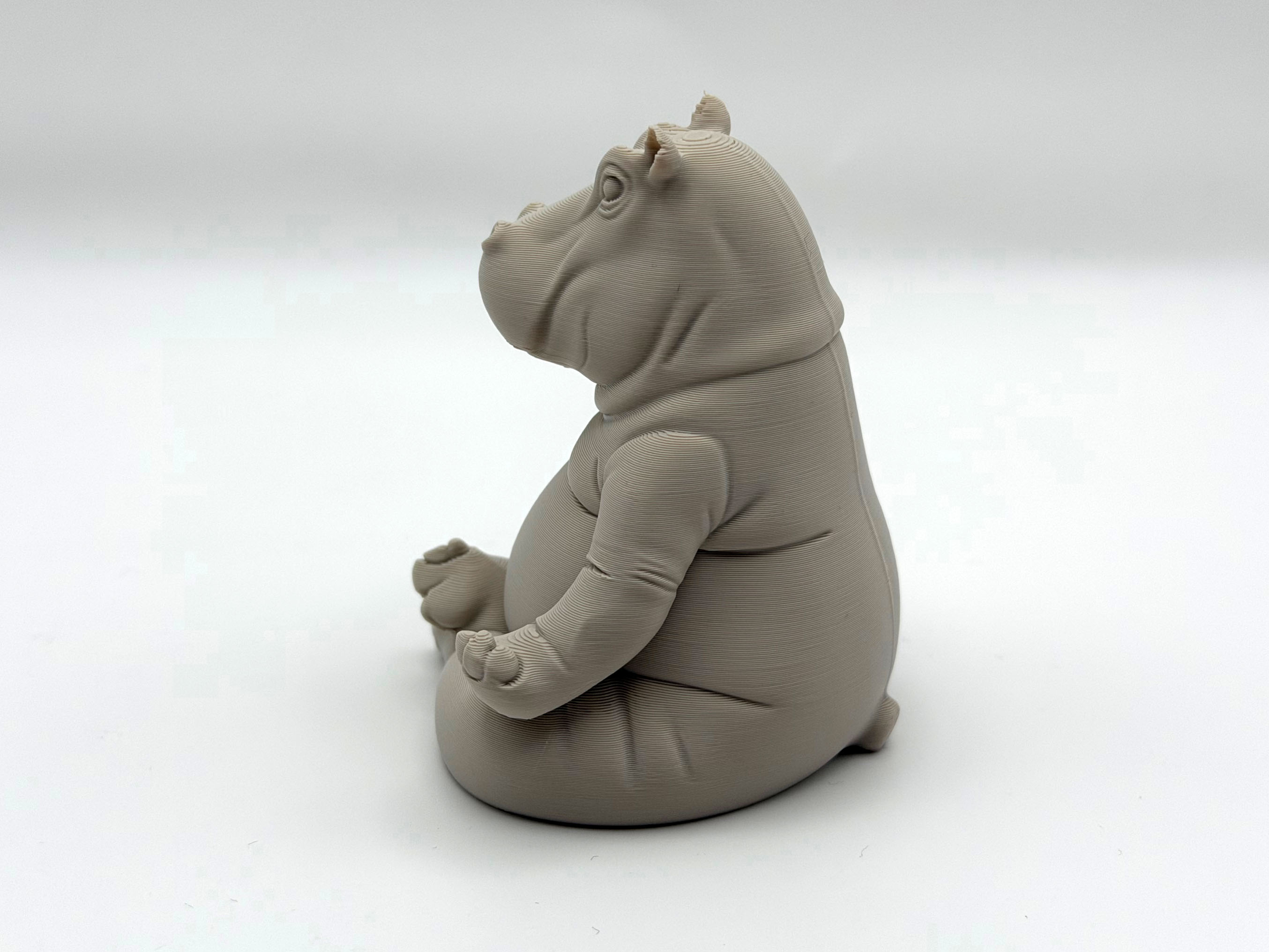 Meditating Hippo — miniatura 6