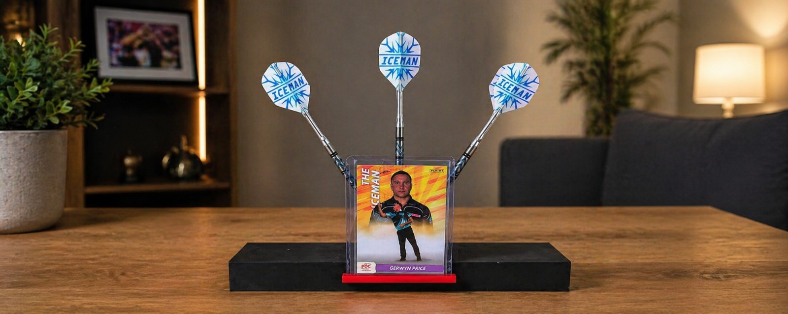 Dart & Trading Card Display Holder