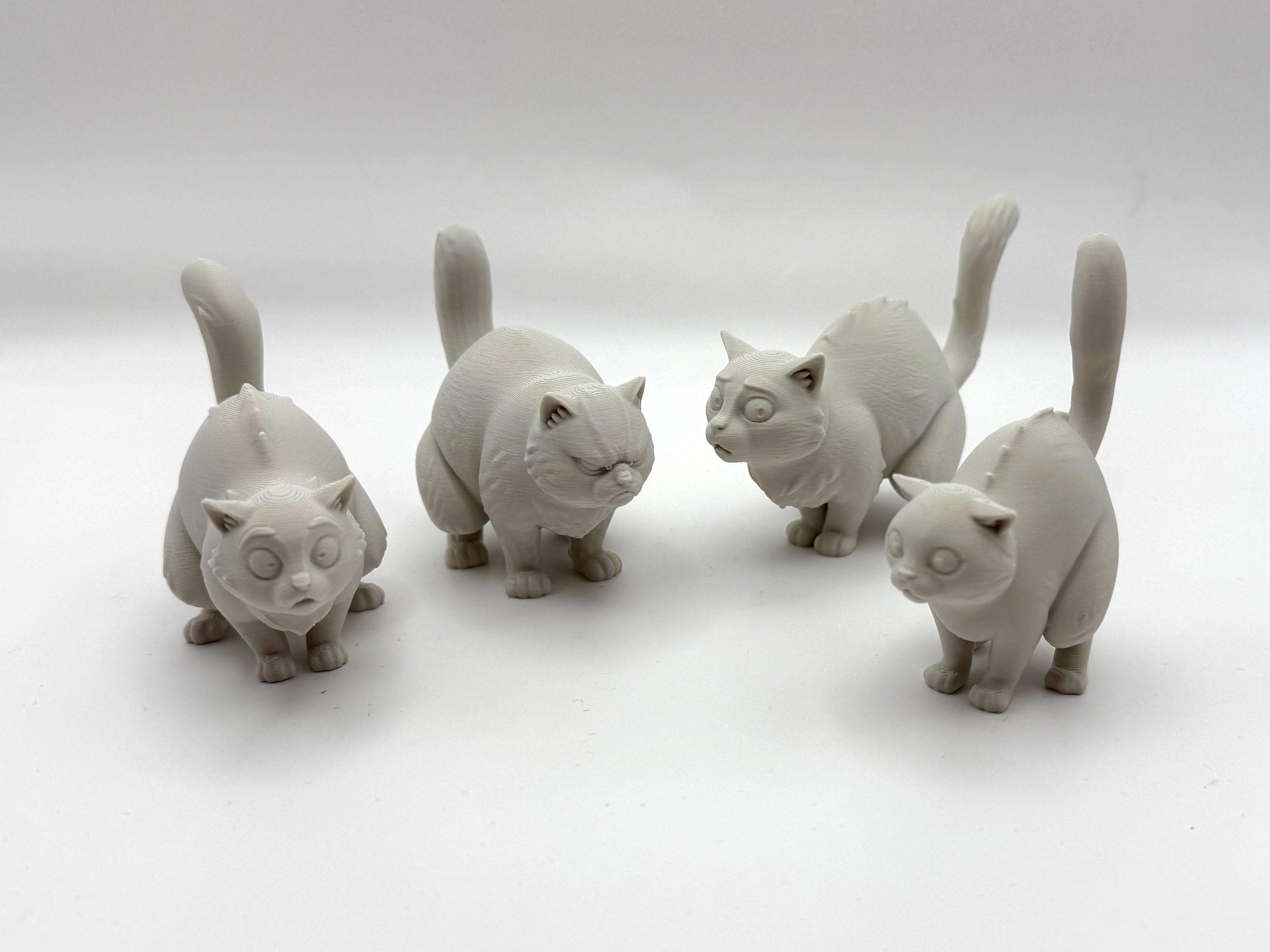 Pooping Cat Collection 3D model by Stigern