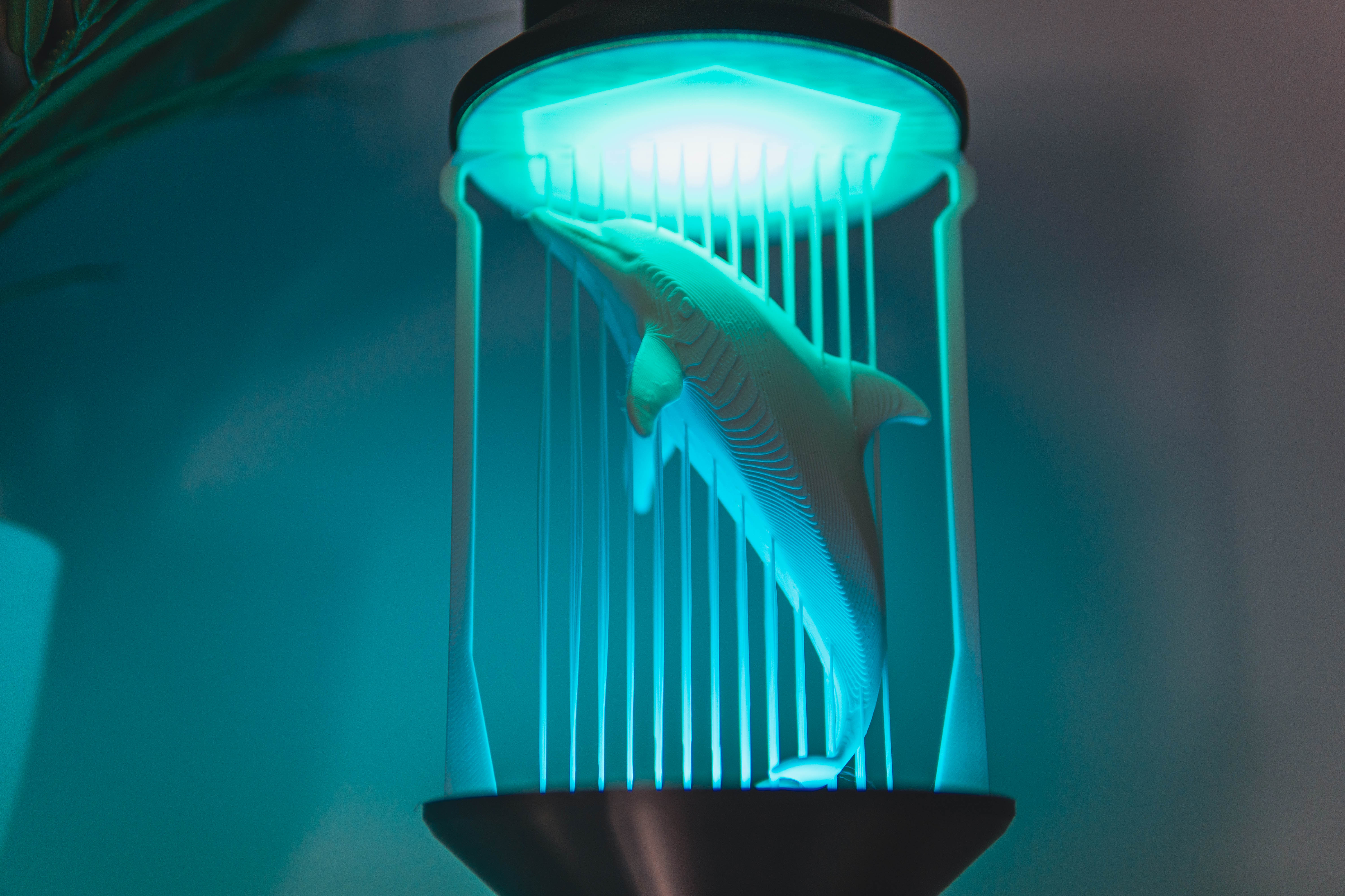 Miniatura 4 do modelo 3D Modern Dolphin String Lamp