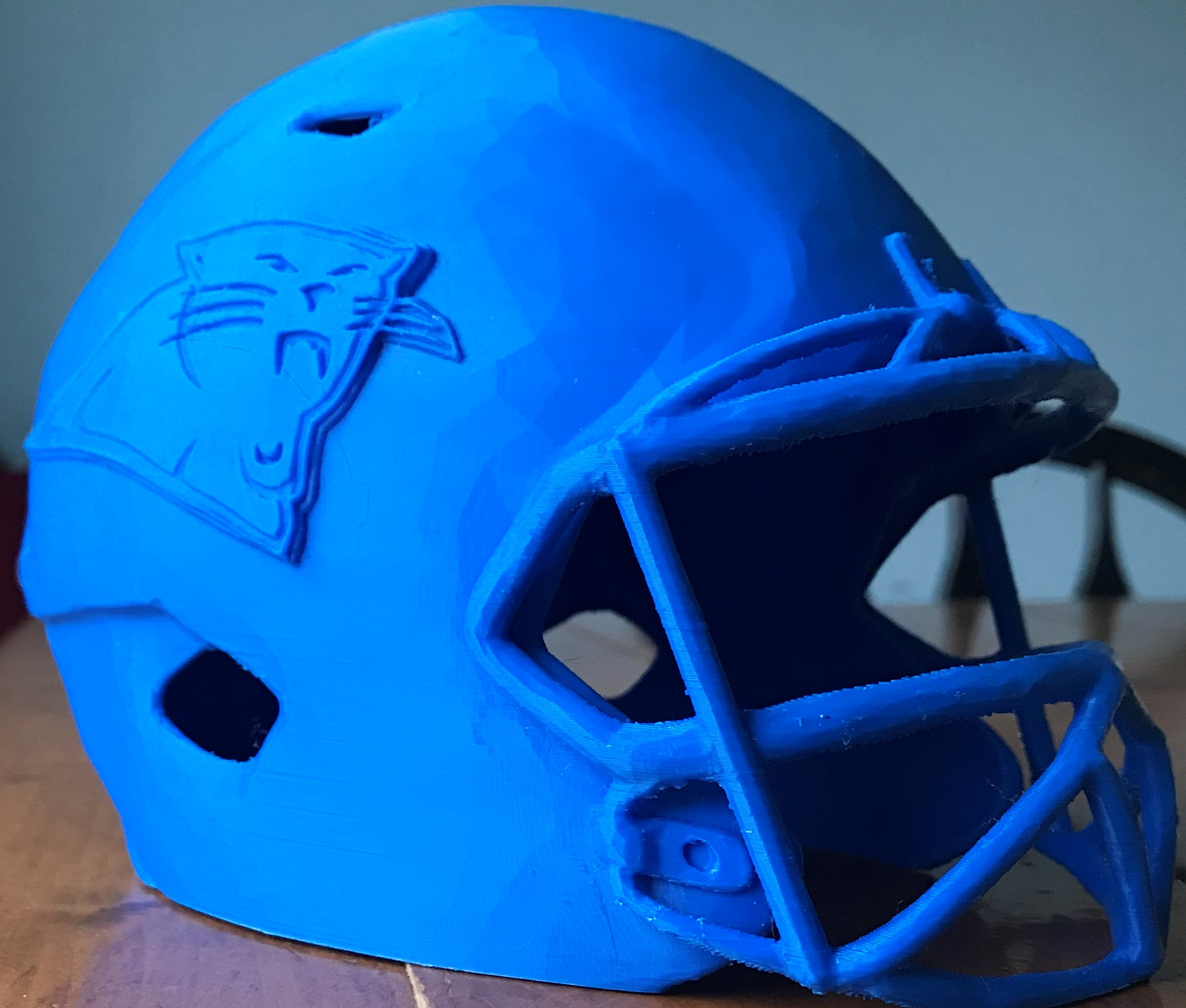 2019 (Unofficial) NFL Cat Helmet