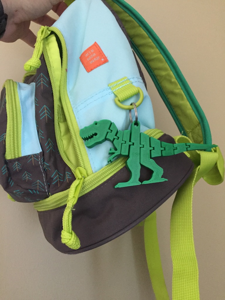 Flexi-Trex Keyring