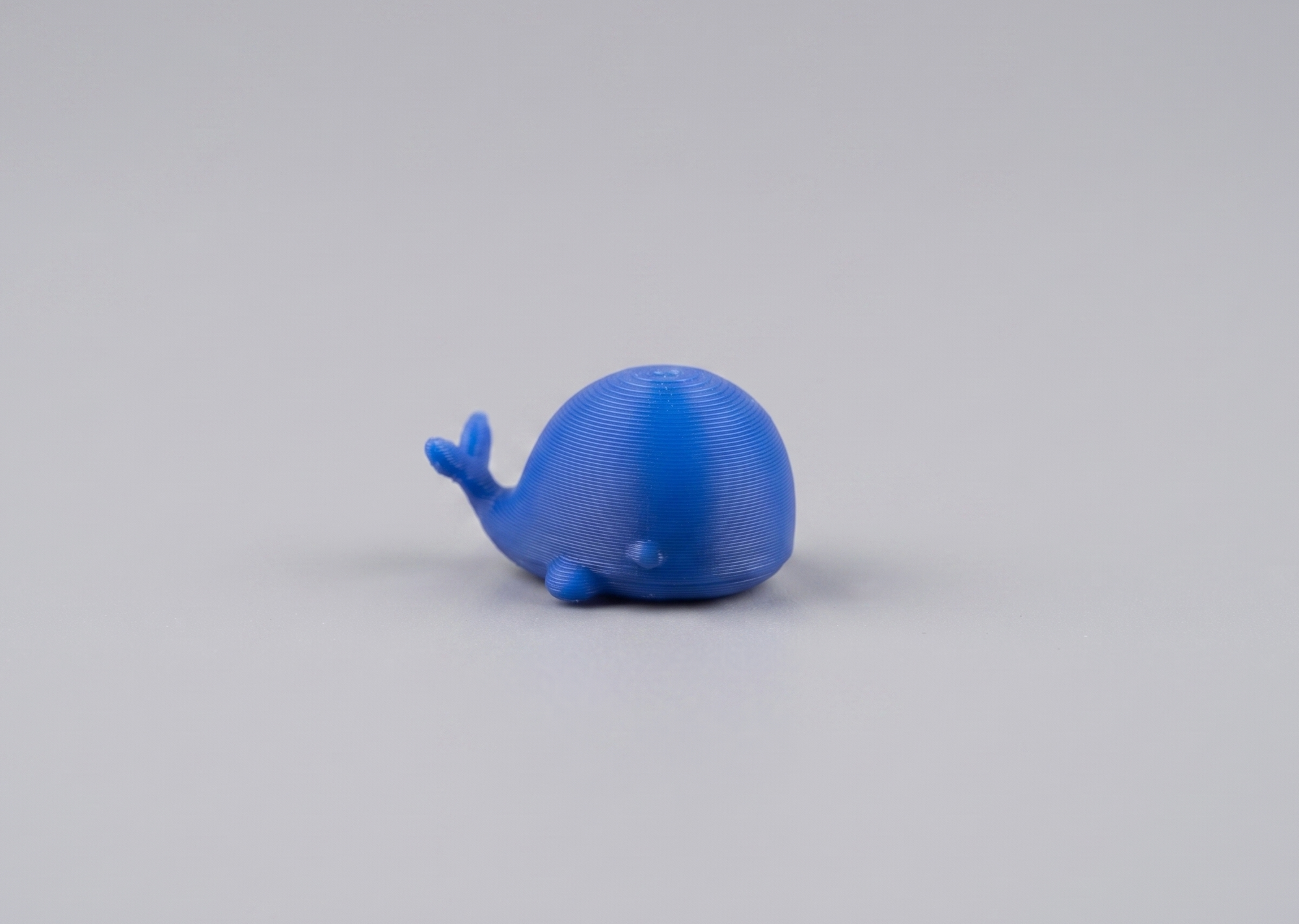 Miniatura 2 do modelo 3D Mini Whale Buddy