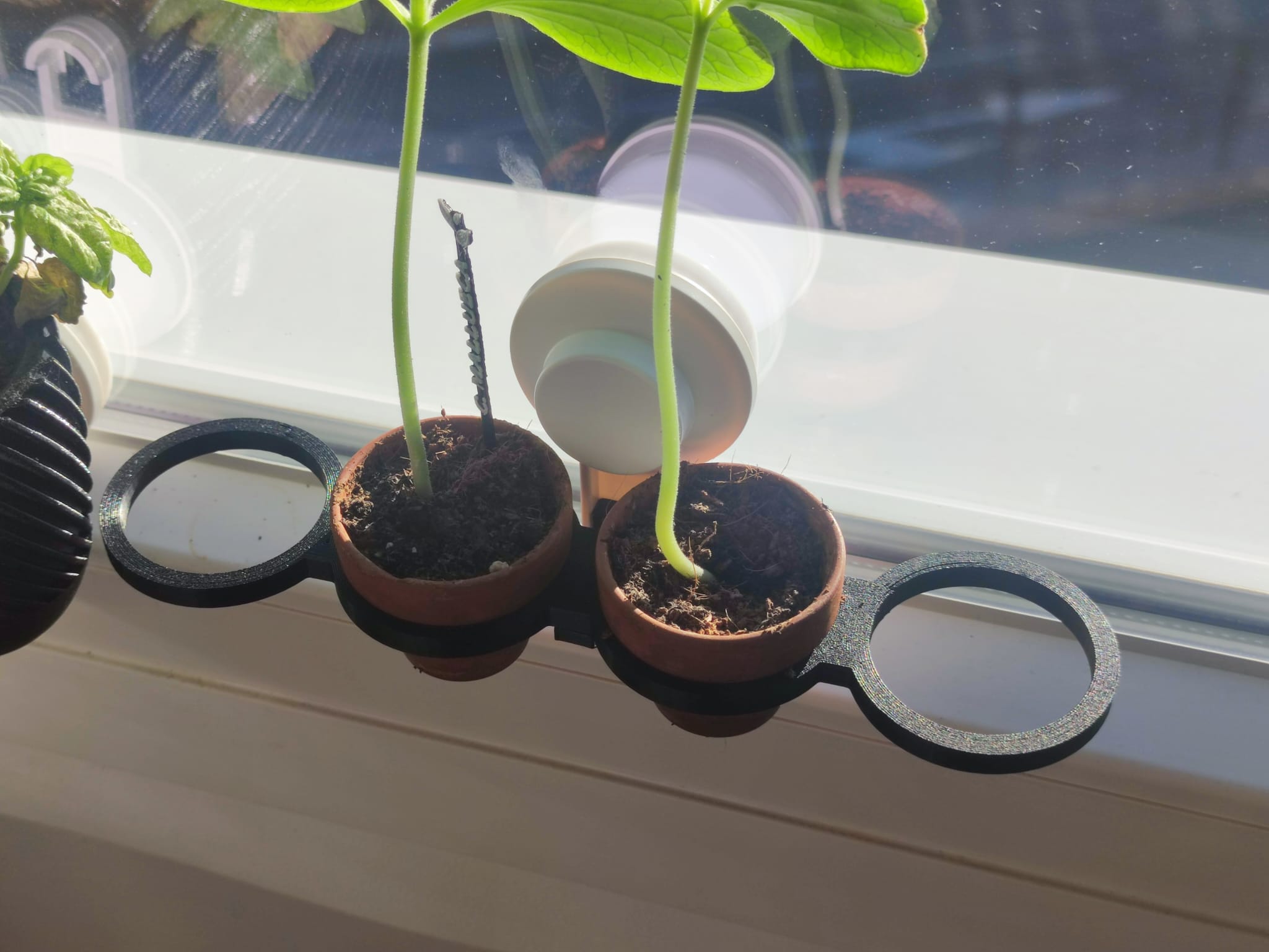 Small pot rings for window (Ikea Tisken)