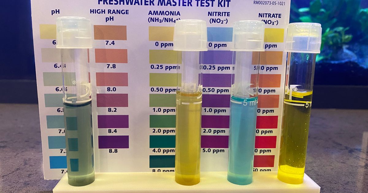 test-tube-holder-by-rojoprint-download-free-stl-model-printables