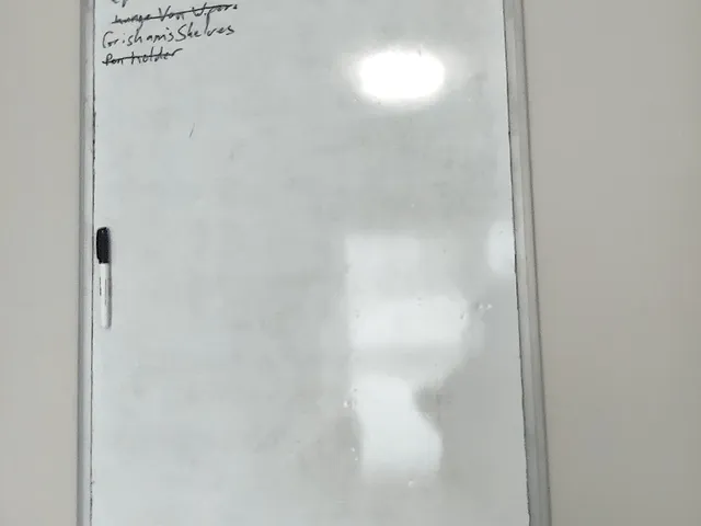 White Board Holder Clips