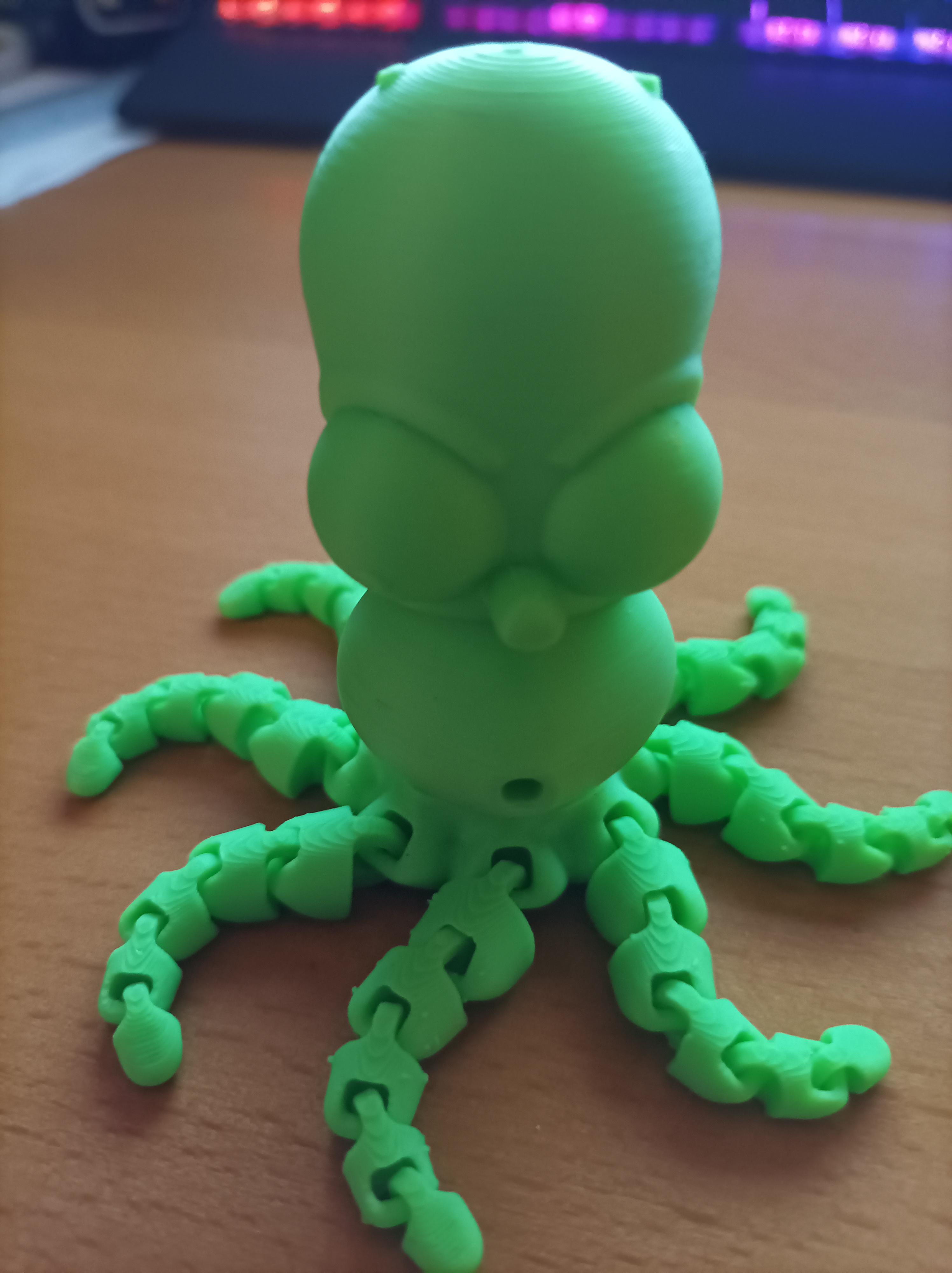 Homer octopus