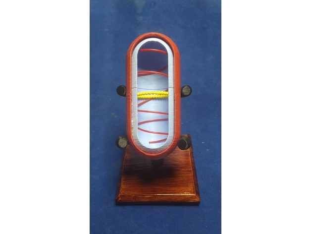 Miniatura 2 do modelo 3D Bacteria / Bacterium
