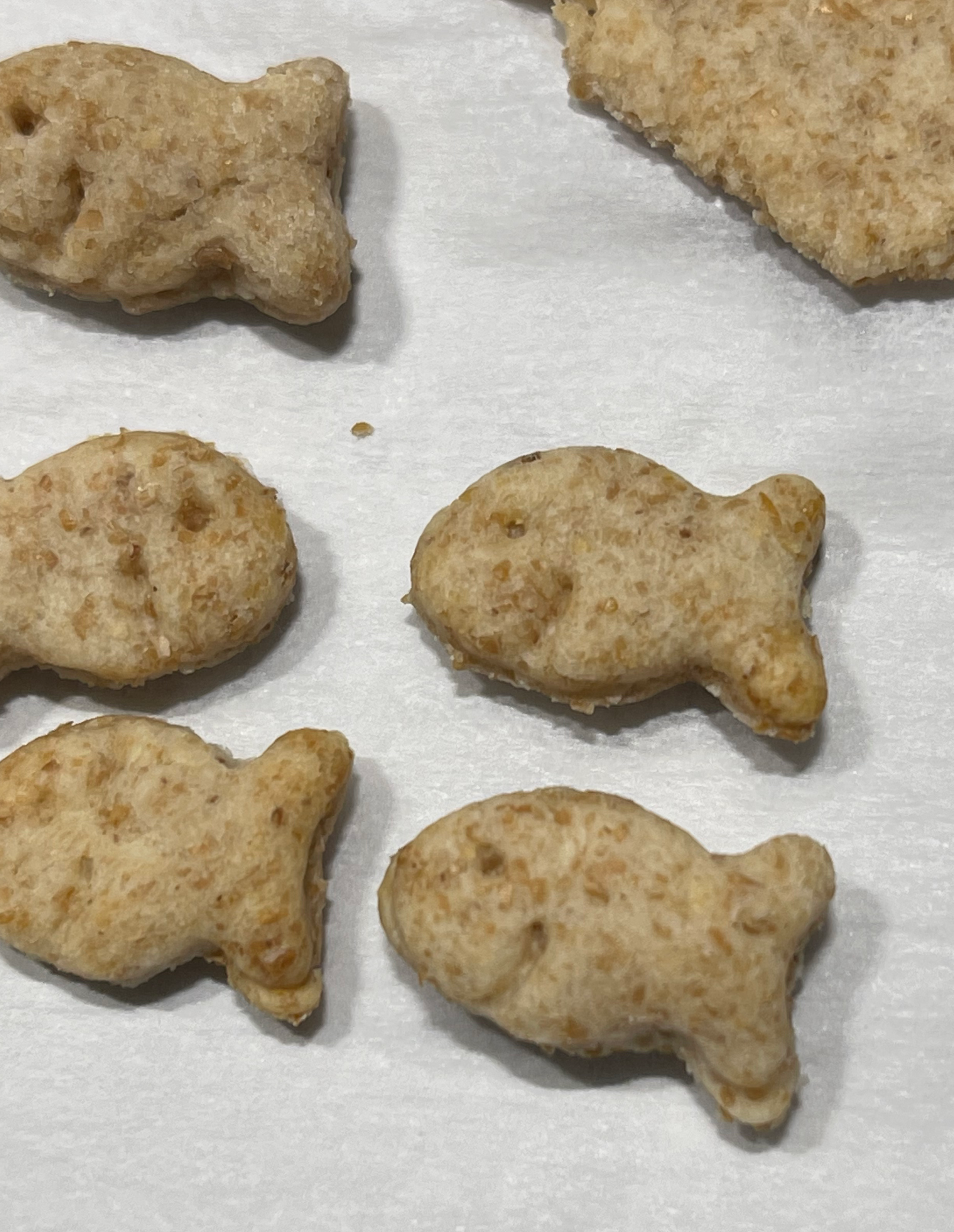 Goldfish Snack Maker