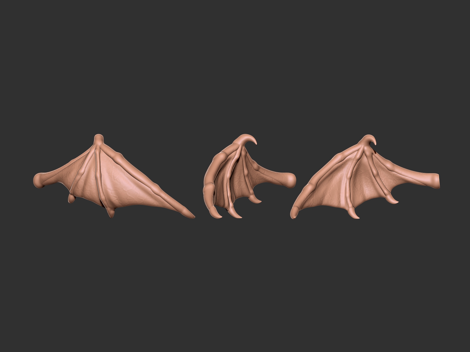 Dragon Wing