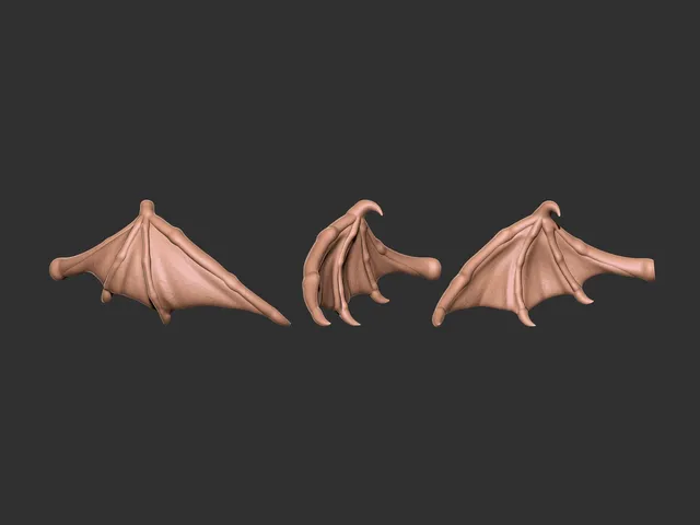 Dragon Wing