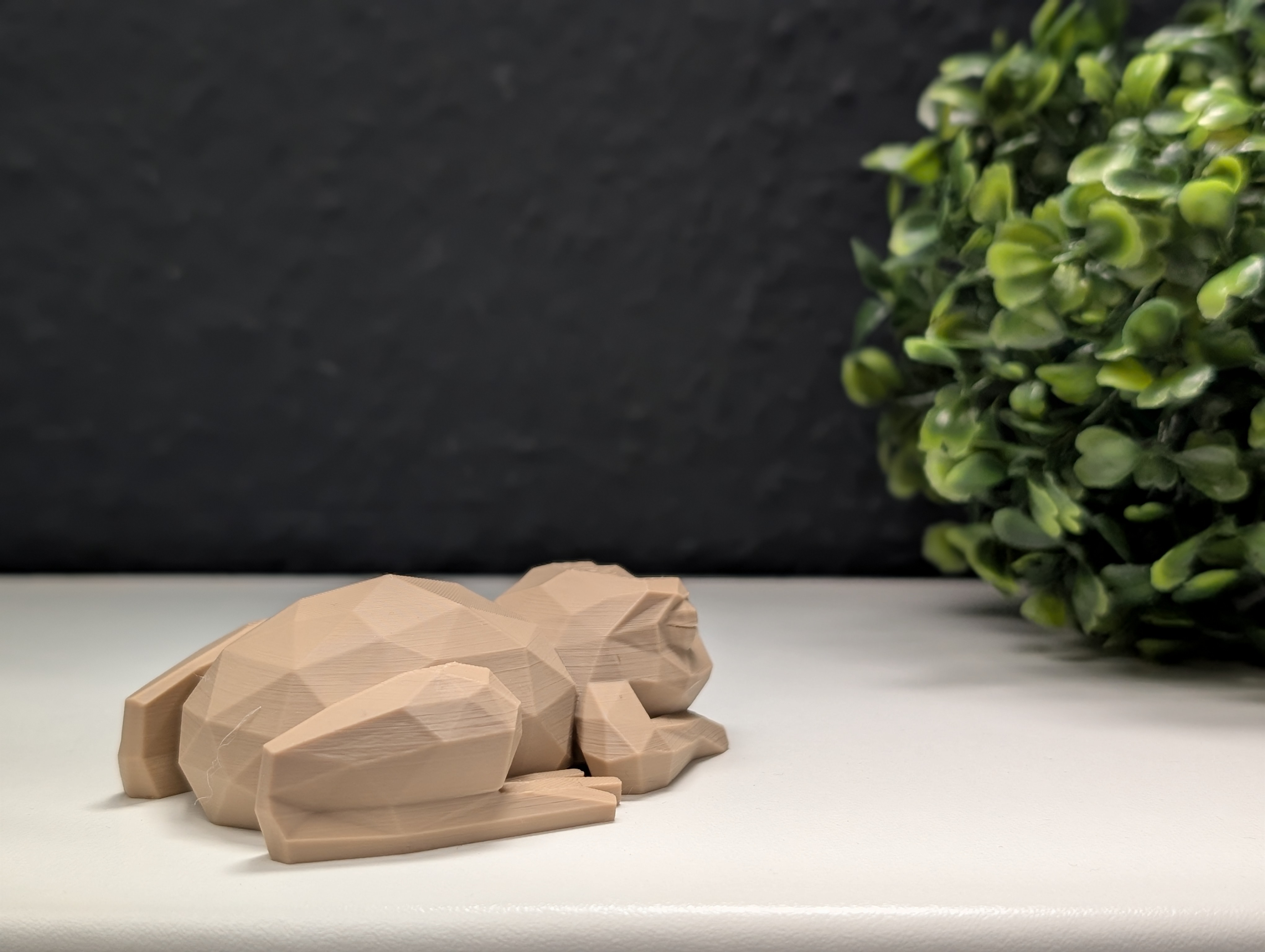 Miniatura 5 do modelo 3D Low Poly Sleeping Frog