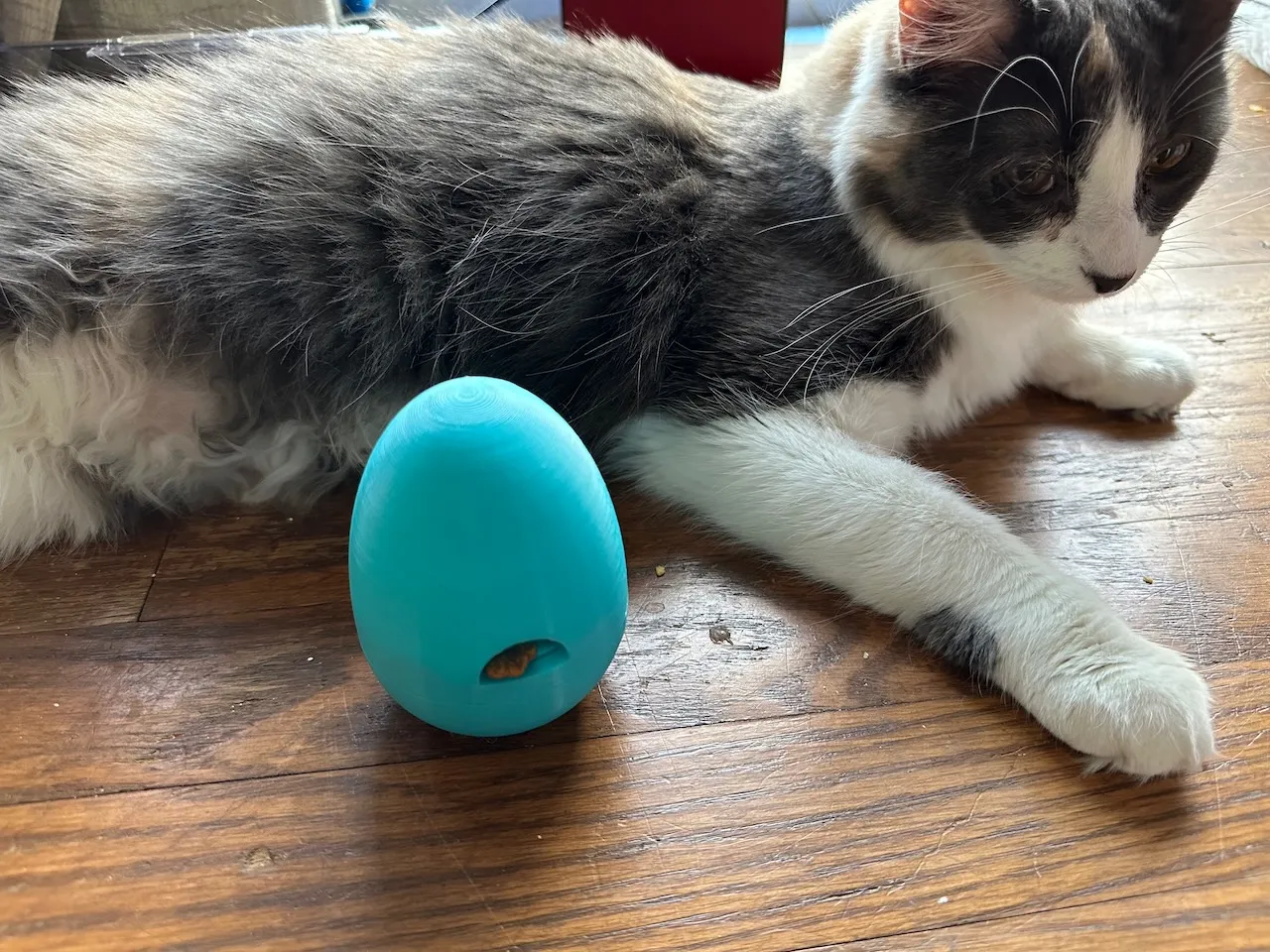 3D Printed Treat Dispensing Cat Toy, Interactive Pet Toy, Kitten