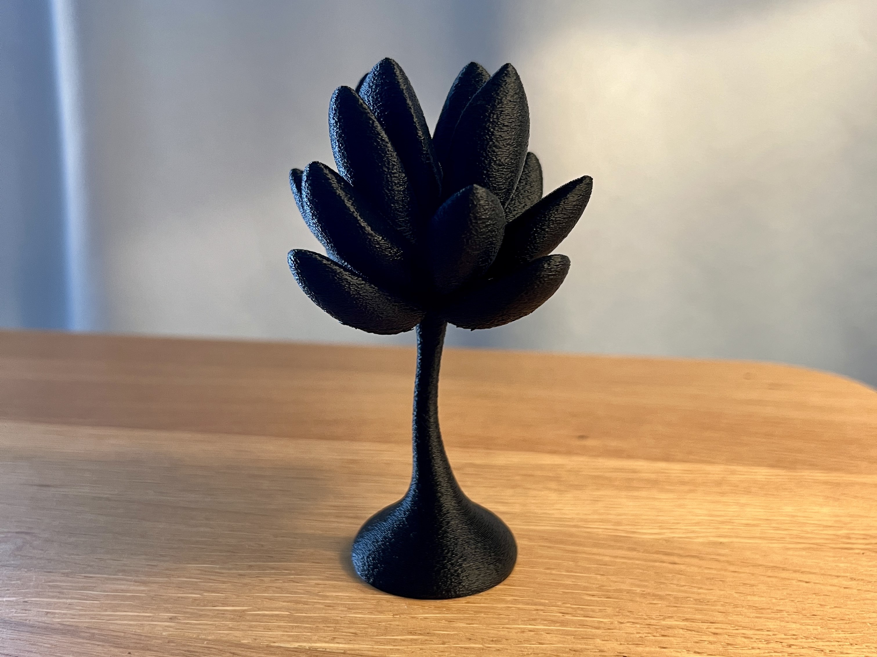 Succulent Decor 2