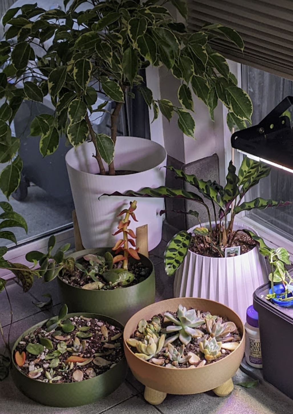 Plant pots for vase mode printing