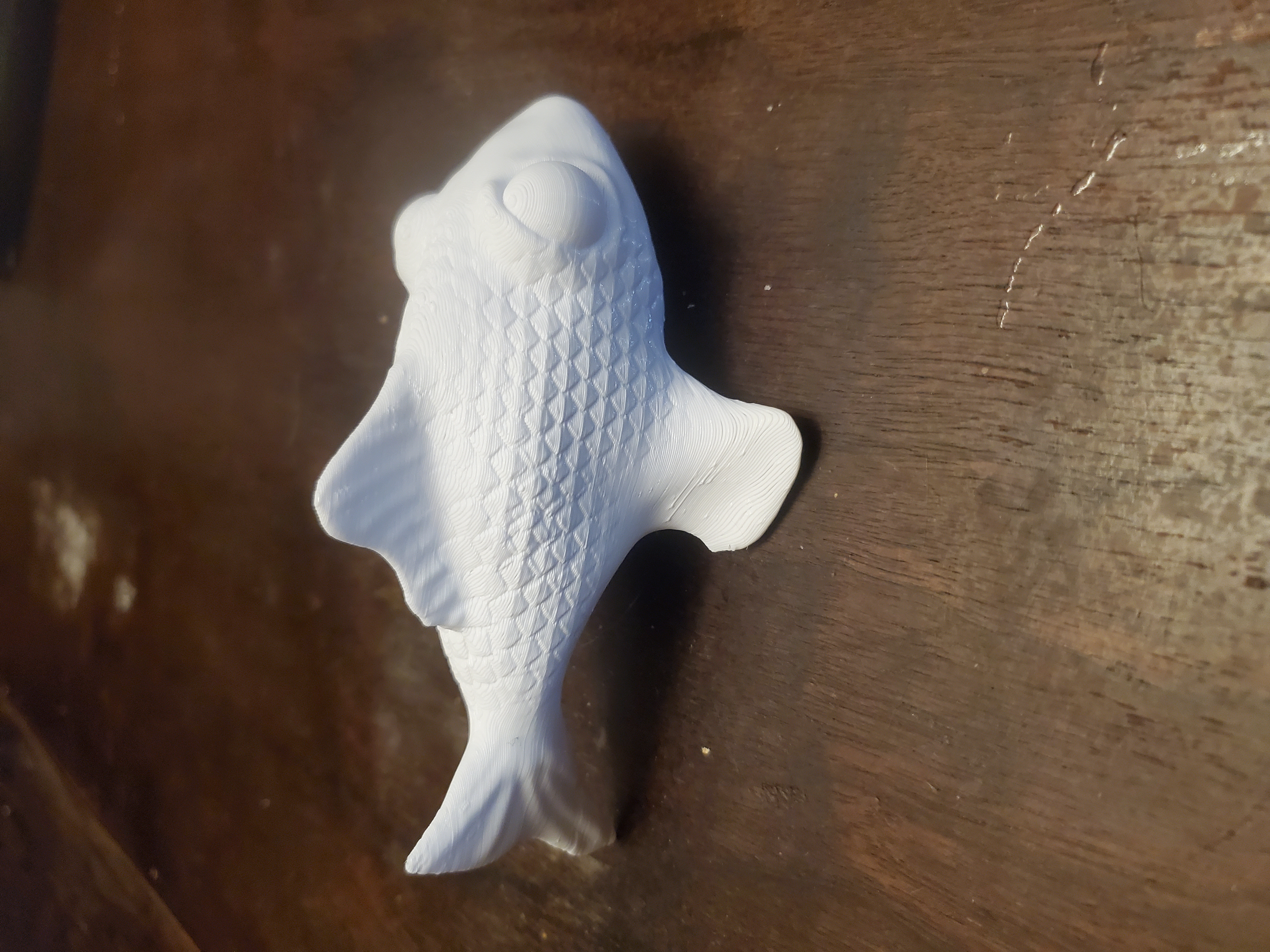 Miniatura 2 do modelo 3D Fish