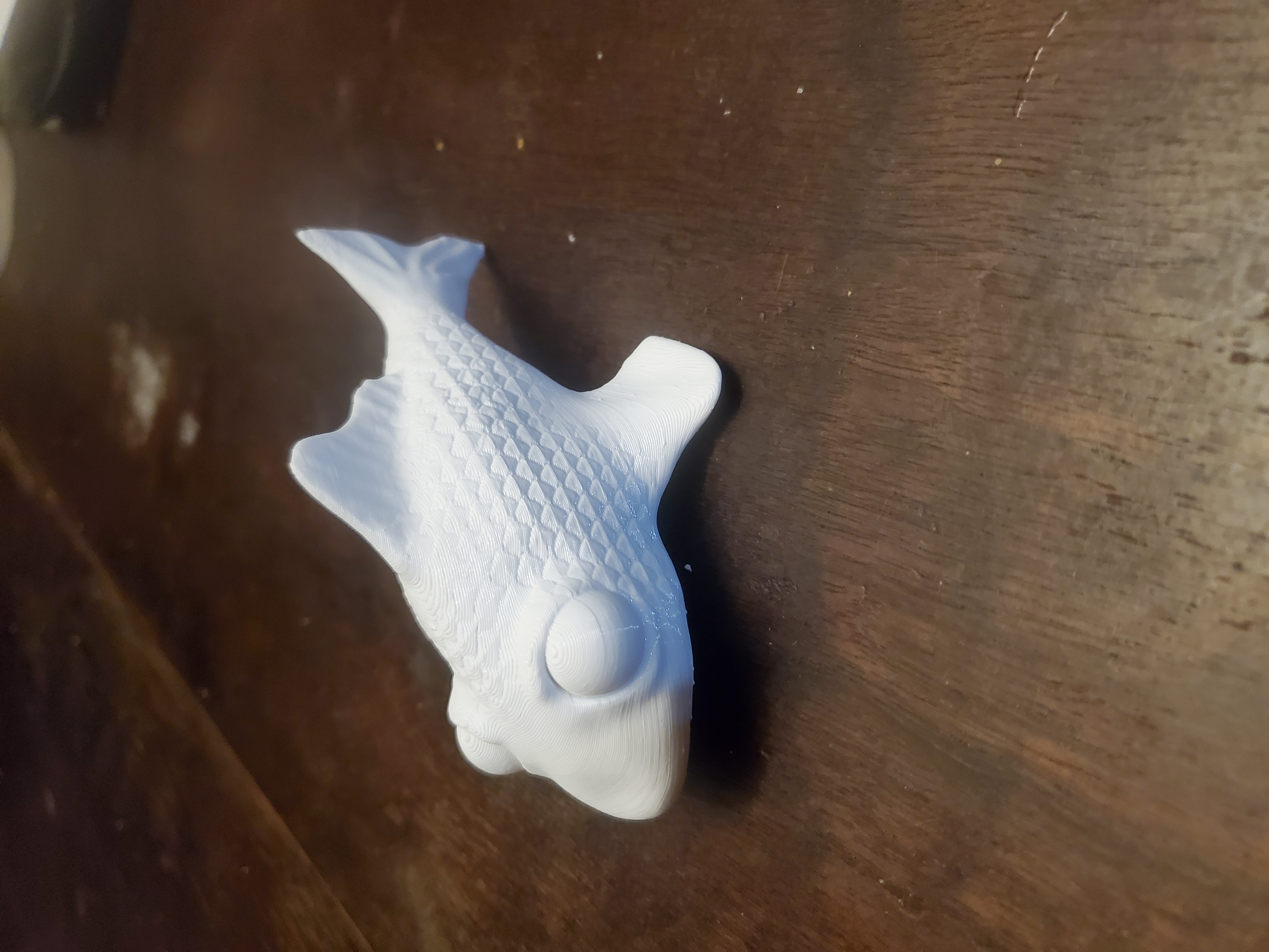 Fish