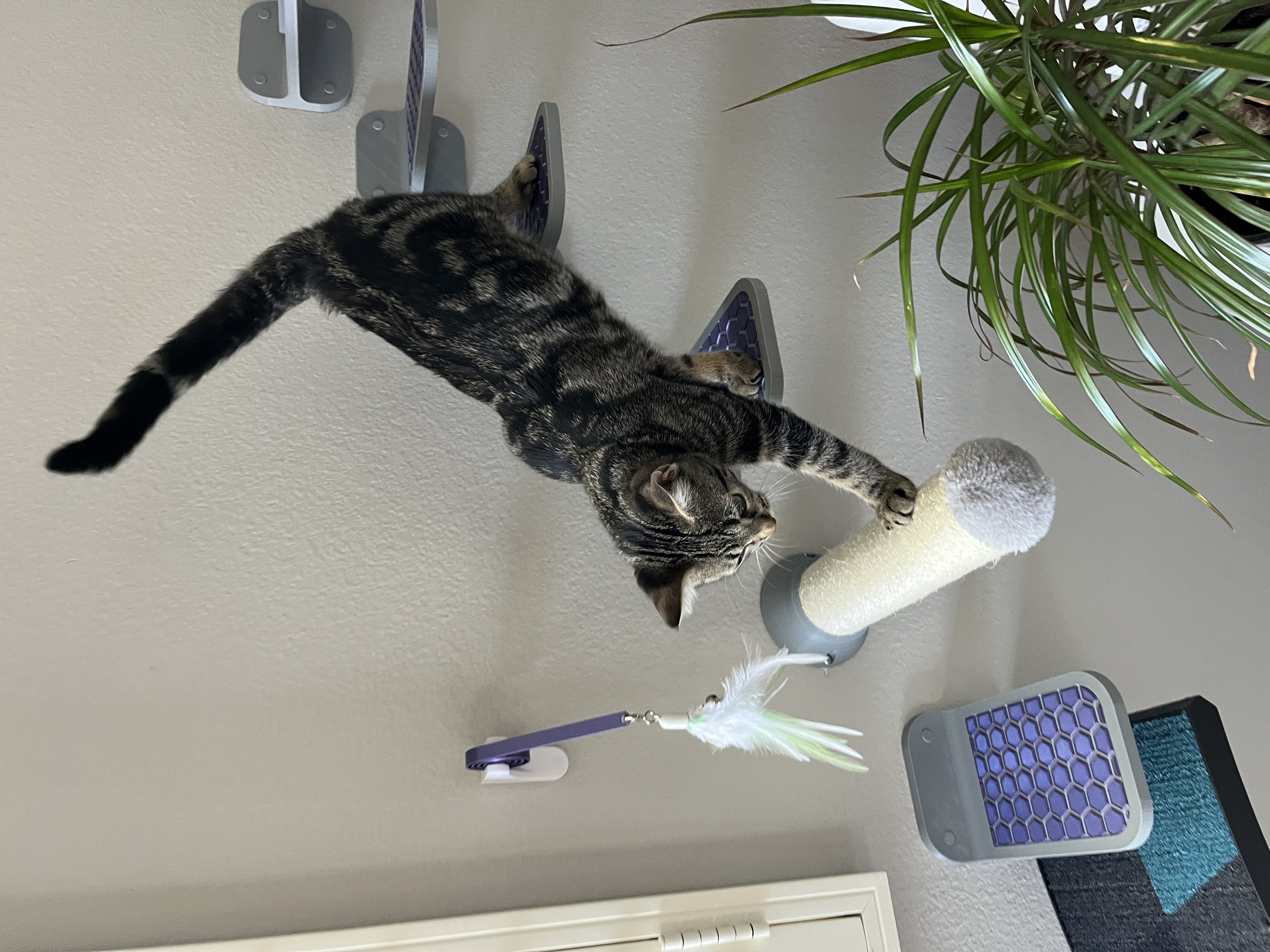 Wall Mounted Cat Step (3 variations) 3D model thumbnail