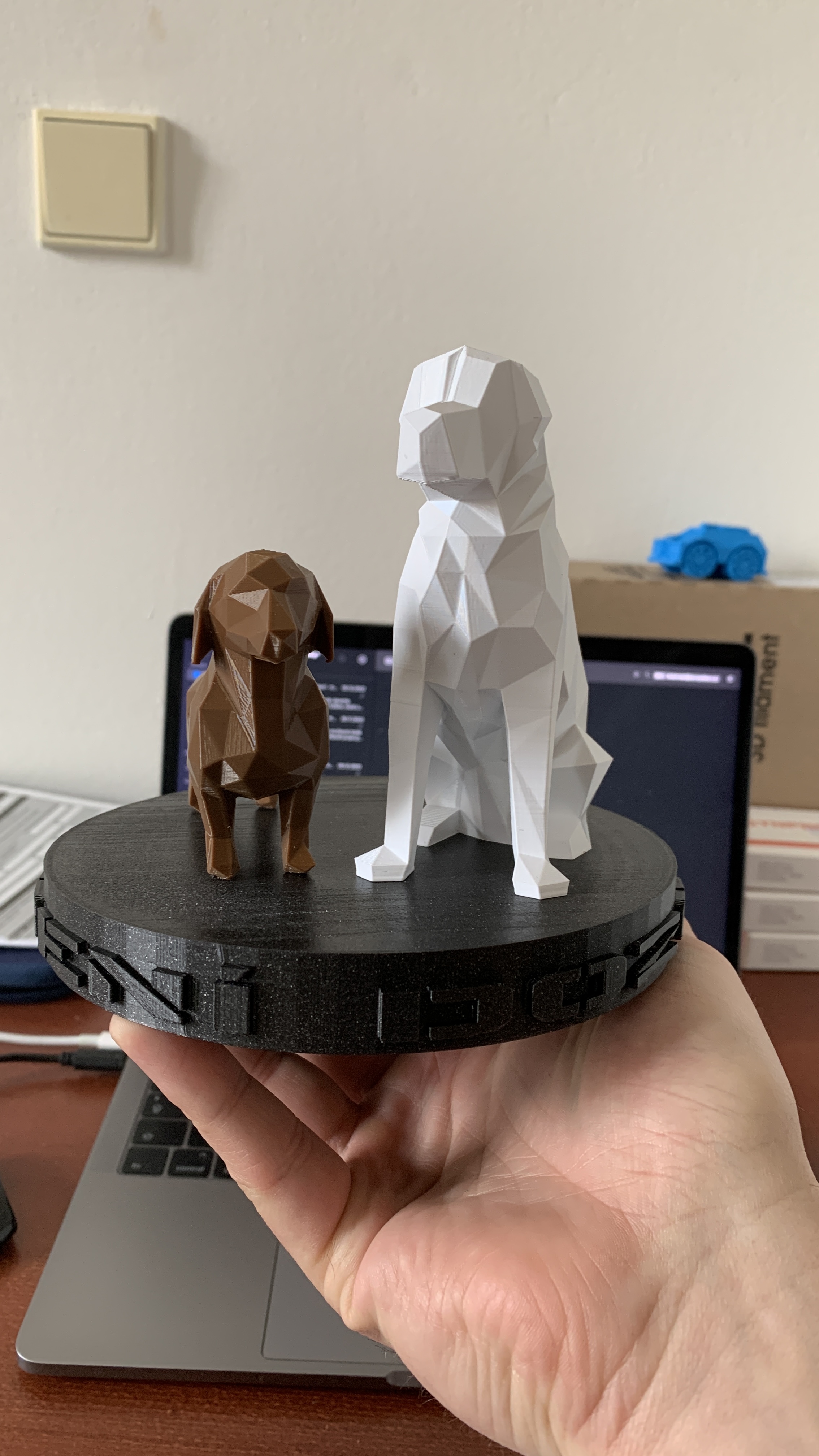 Dachshund - Jezevčík POLY