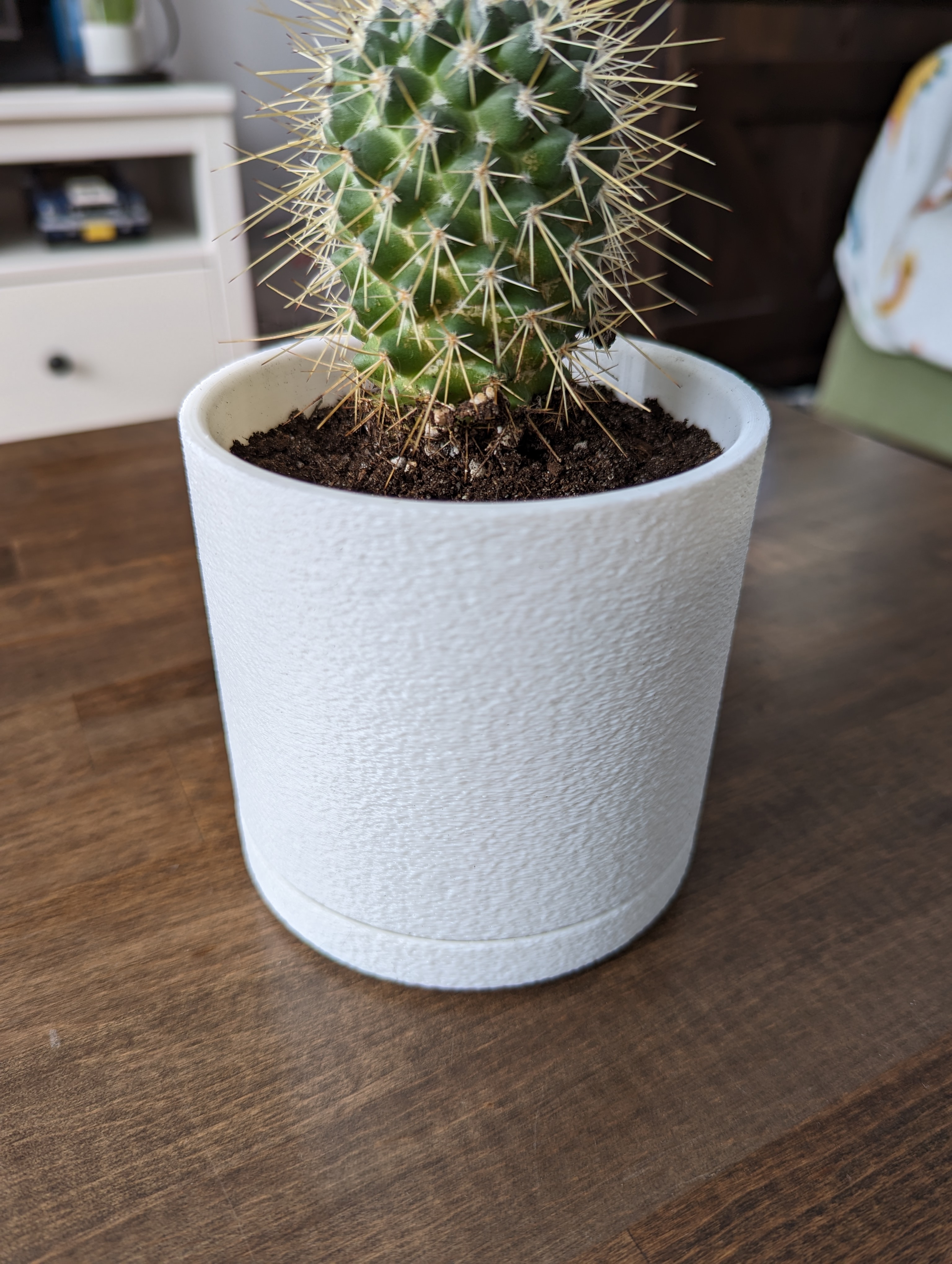 Flower Pot