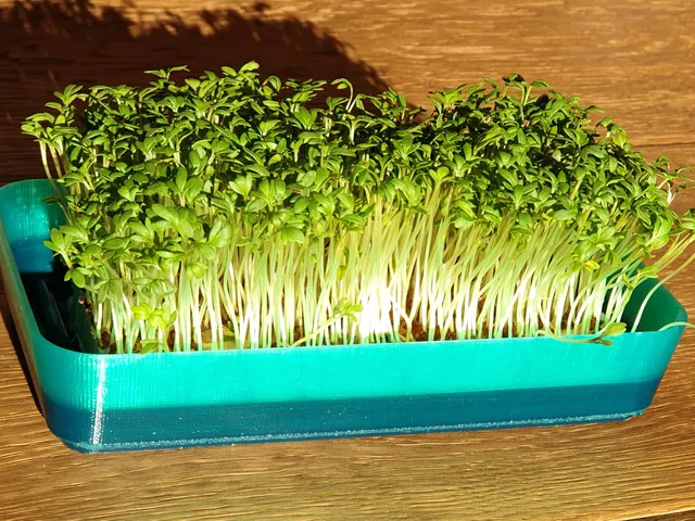 CCB Crass cress bowl (waterproof); Krasse Kresse Schale KKS (wasserdicht)