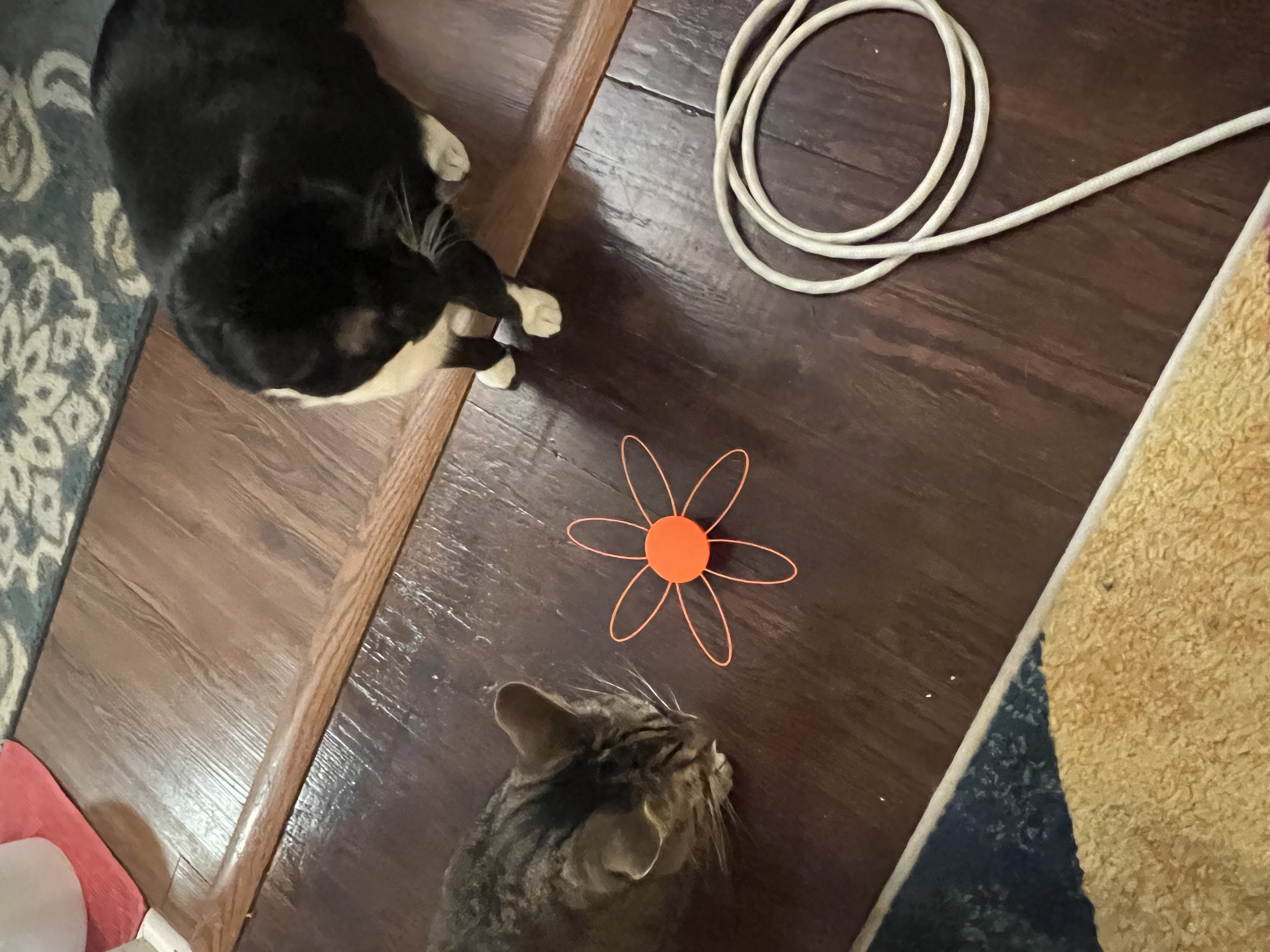 Simple Cat toy
