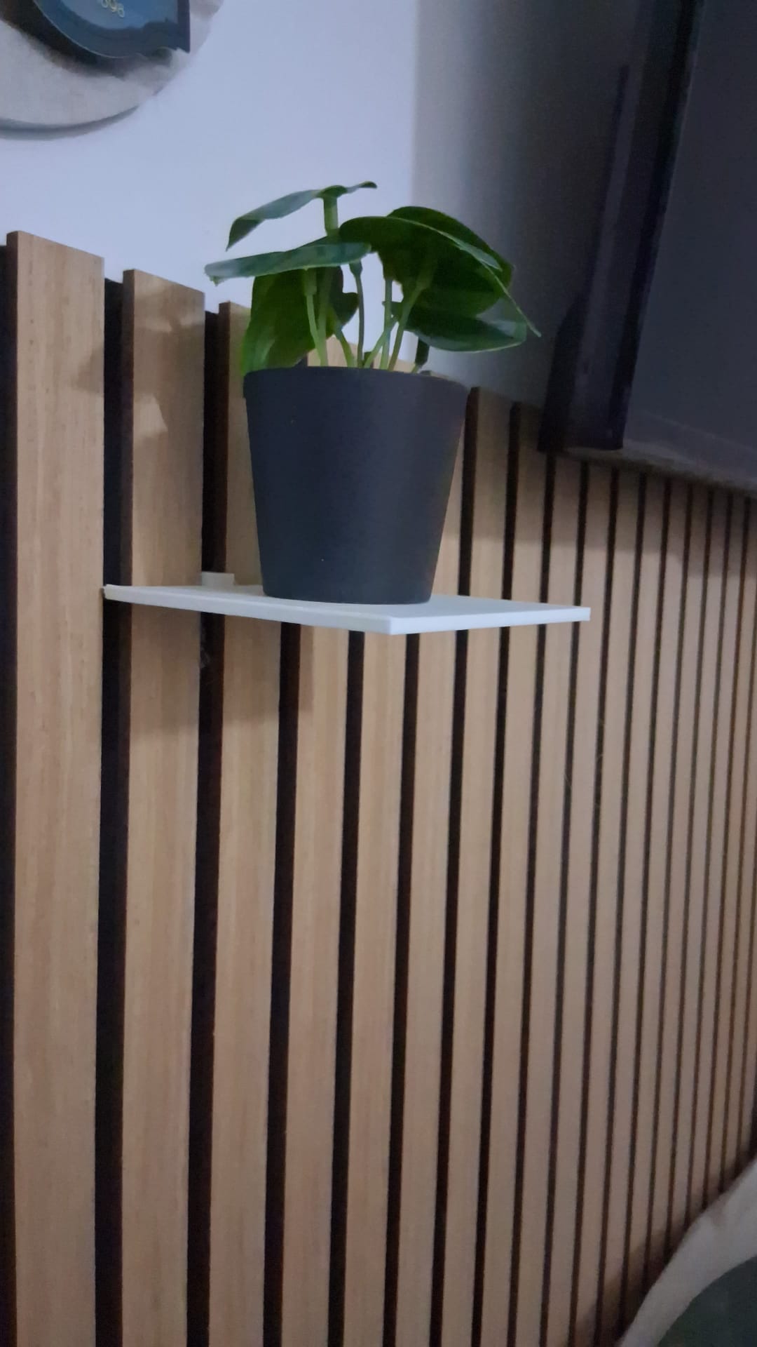 wandpanel shelf
