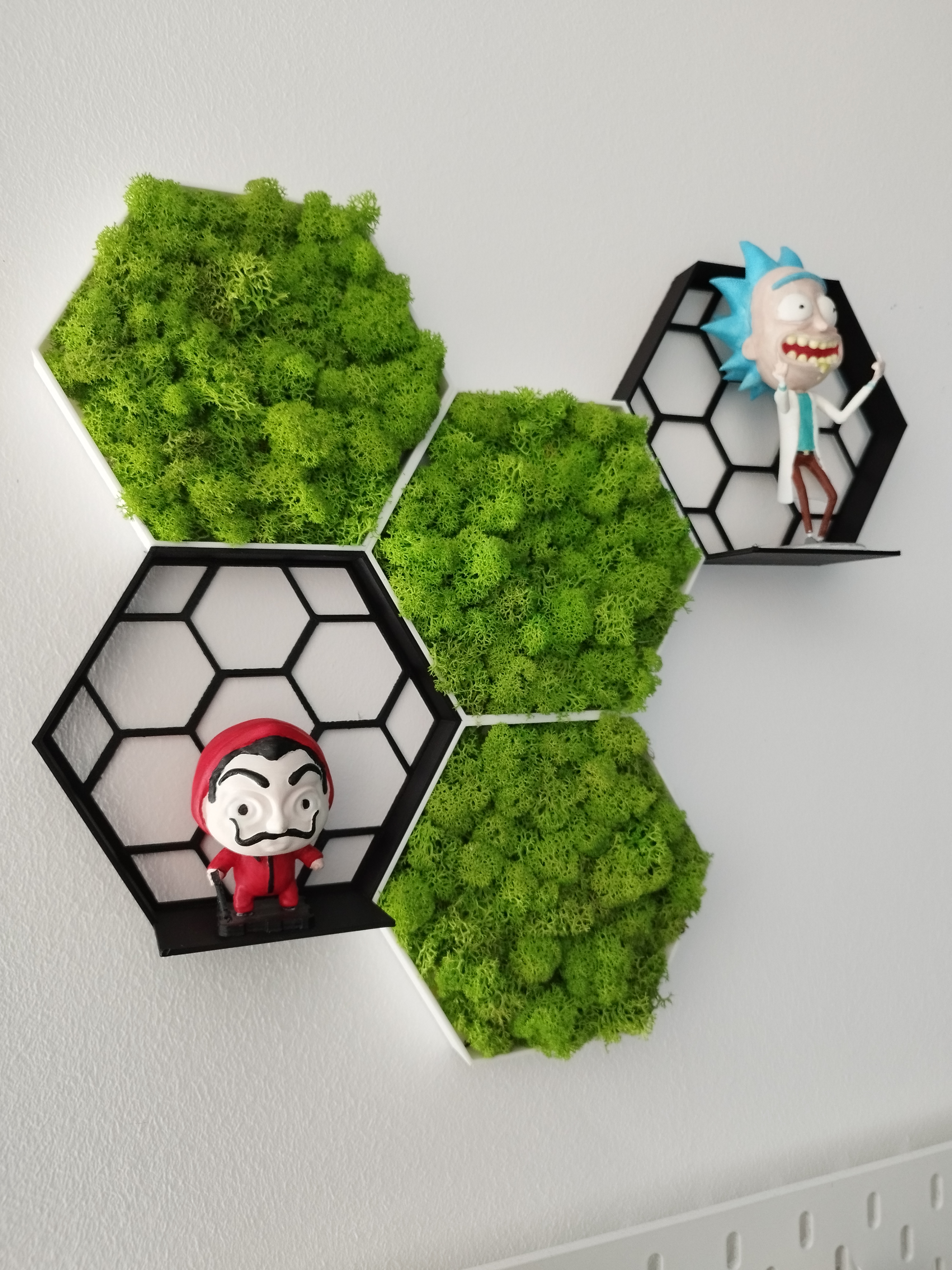 Honeycomb shelf and moss frame