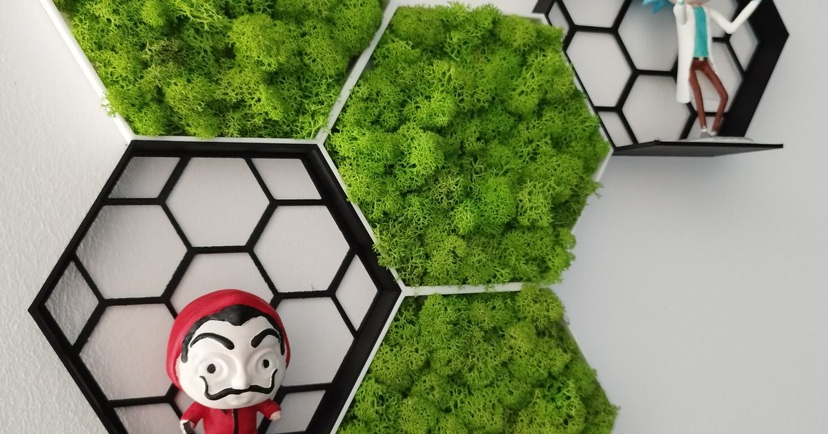 shelf and moss frame by Ľuboš Zlatohlávek Download free STL