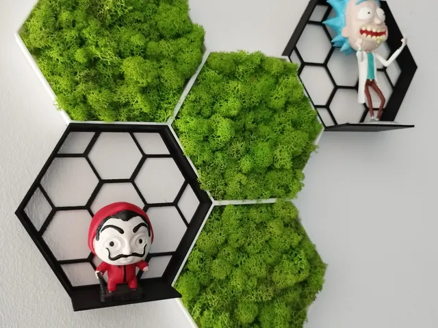 Honeycomb shelf and moss frame