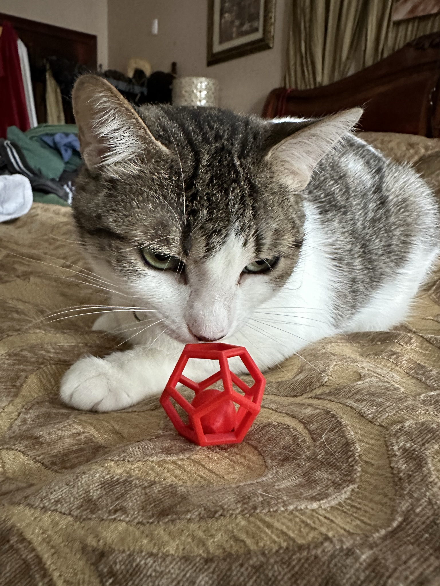 Penta-Ball Cat Toy (Print-in-Place)
