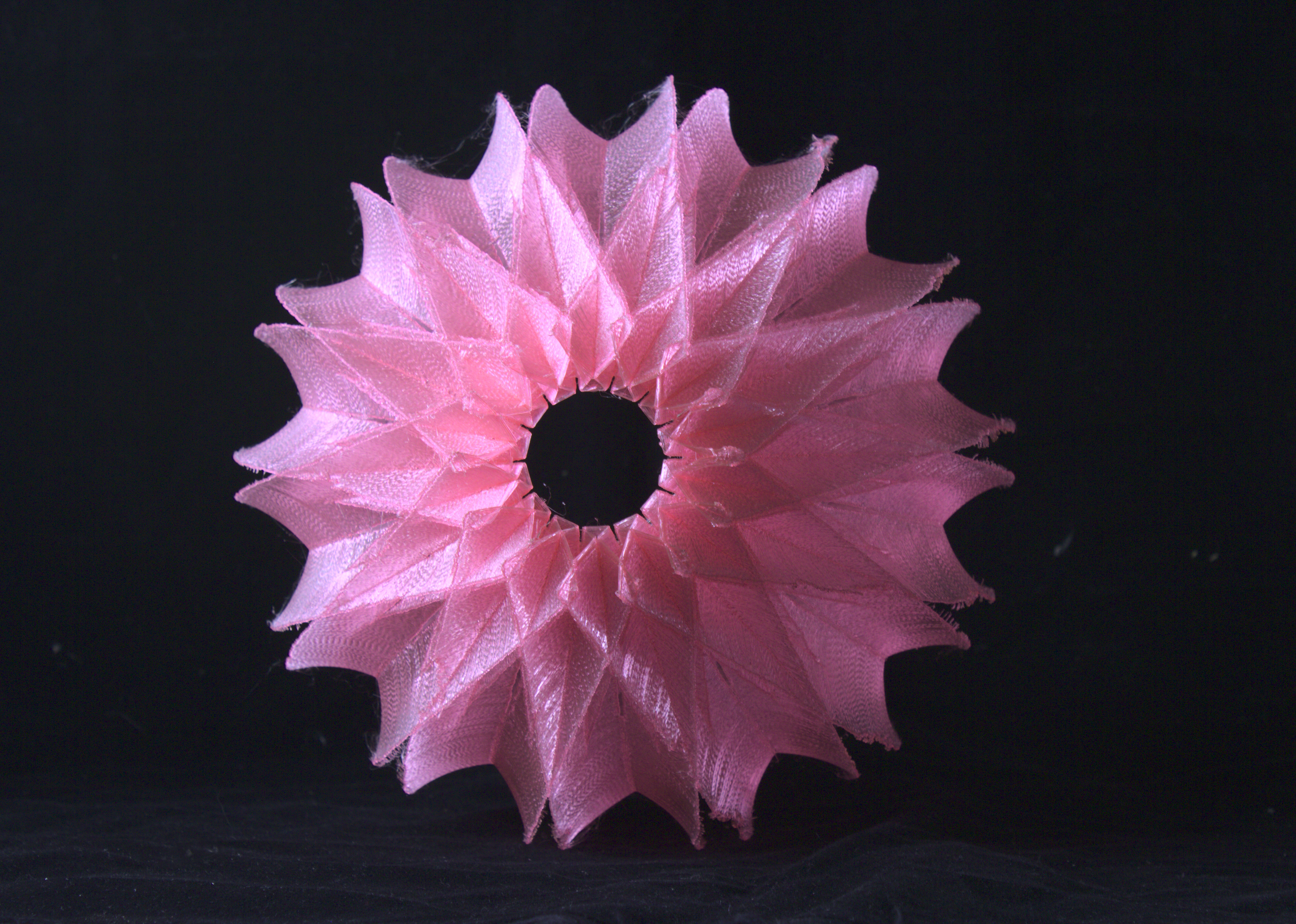 Pink Eucalypt Drop Light