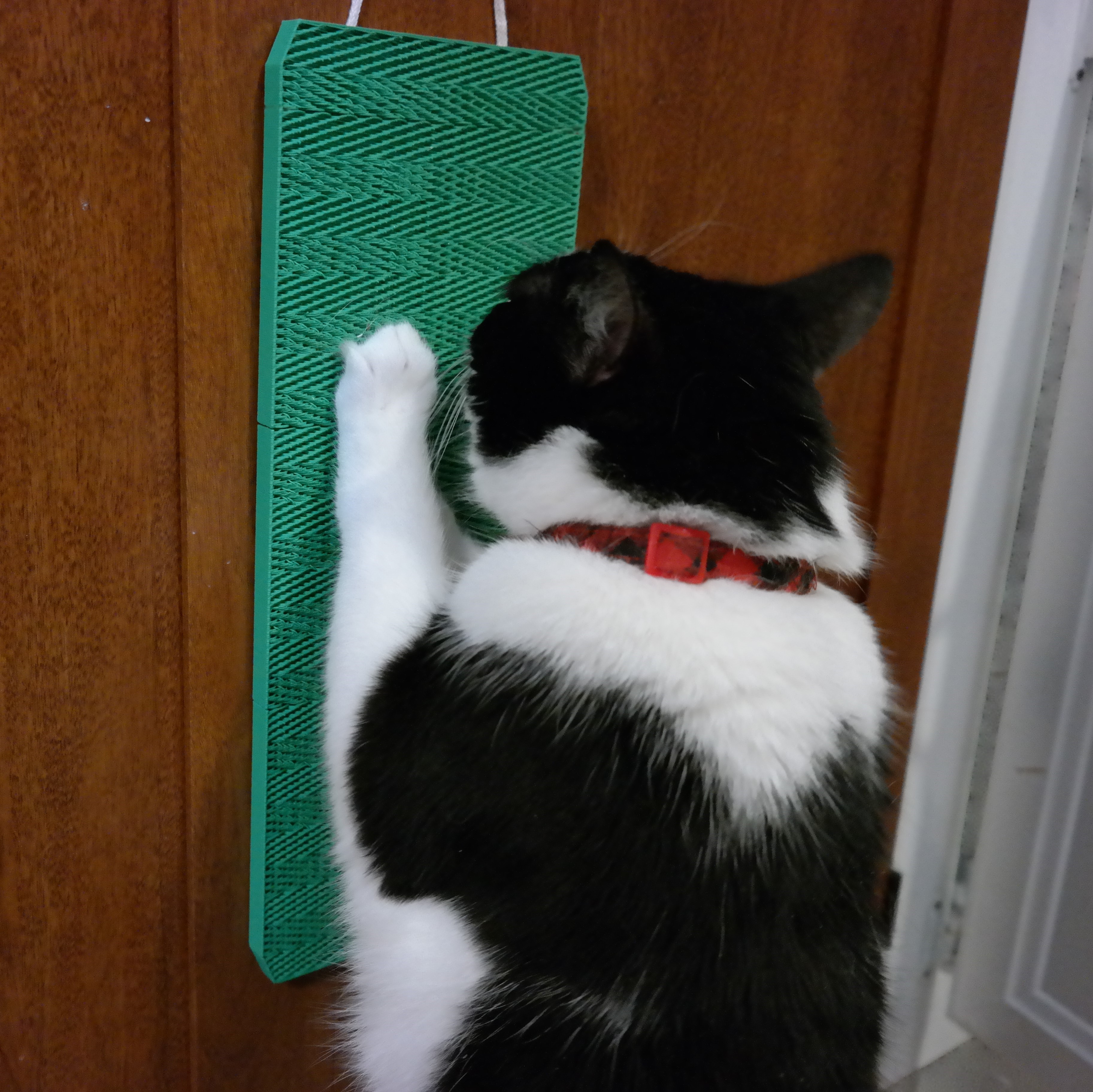 Modular Cat Scratch Board