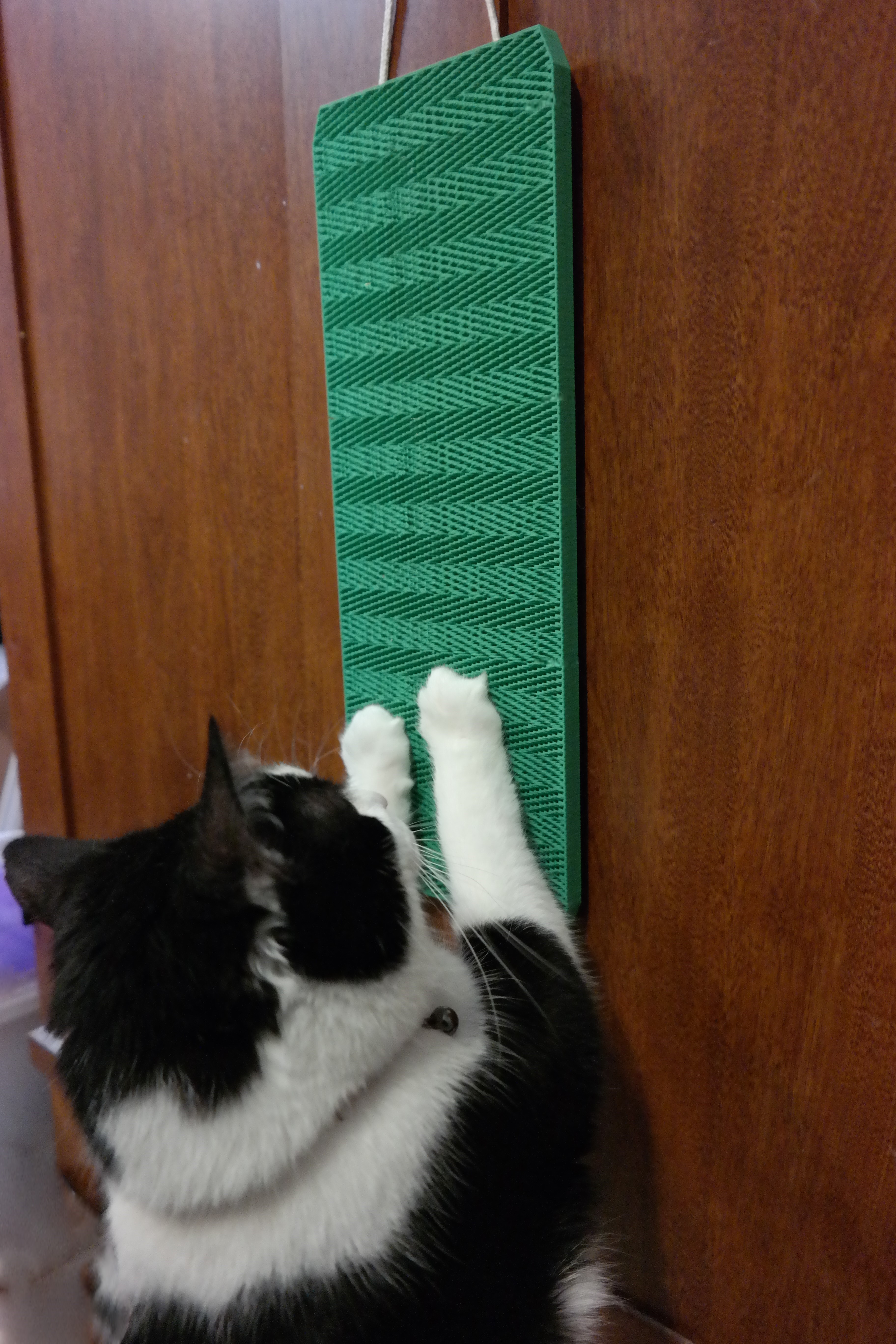 Miniatura 4 do modelo 3D Modular Cat Scratch Board