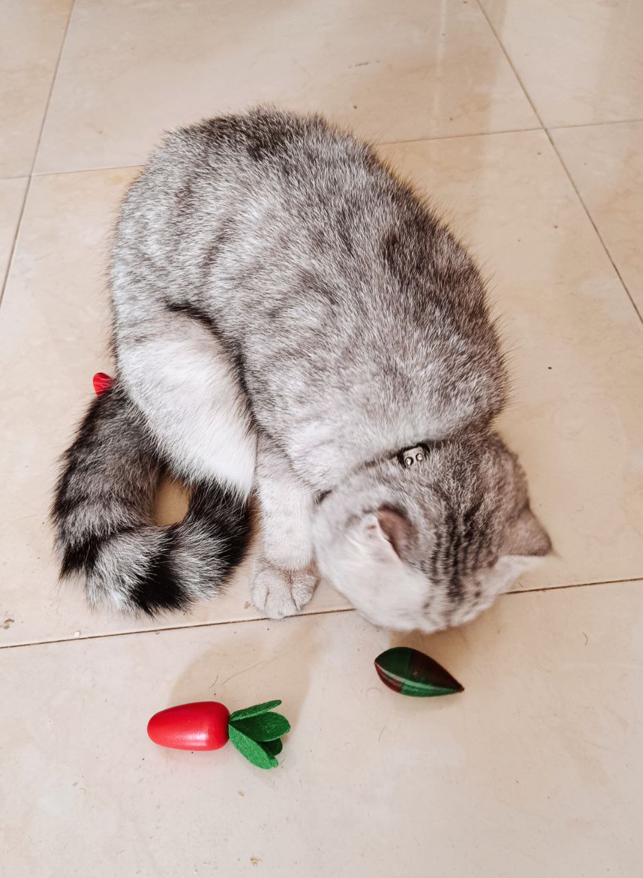 cat-toy-by-samlyn696-download-free-stl-model-printables