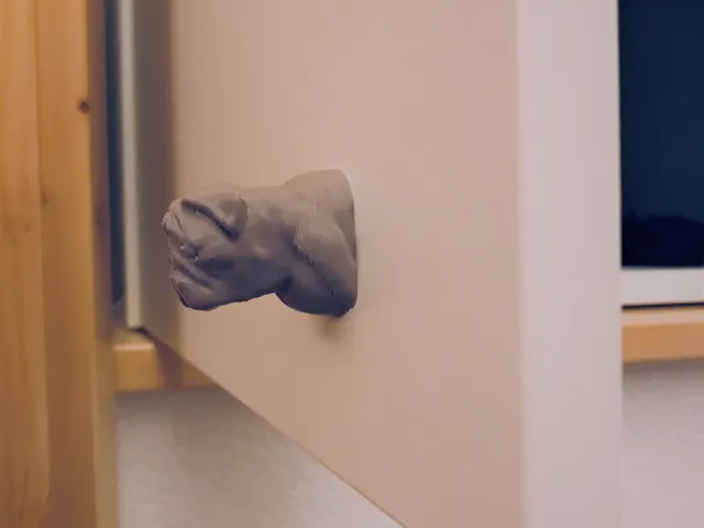 Wardrobe handle Buddy