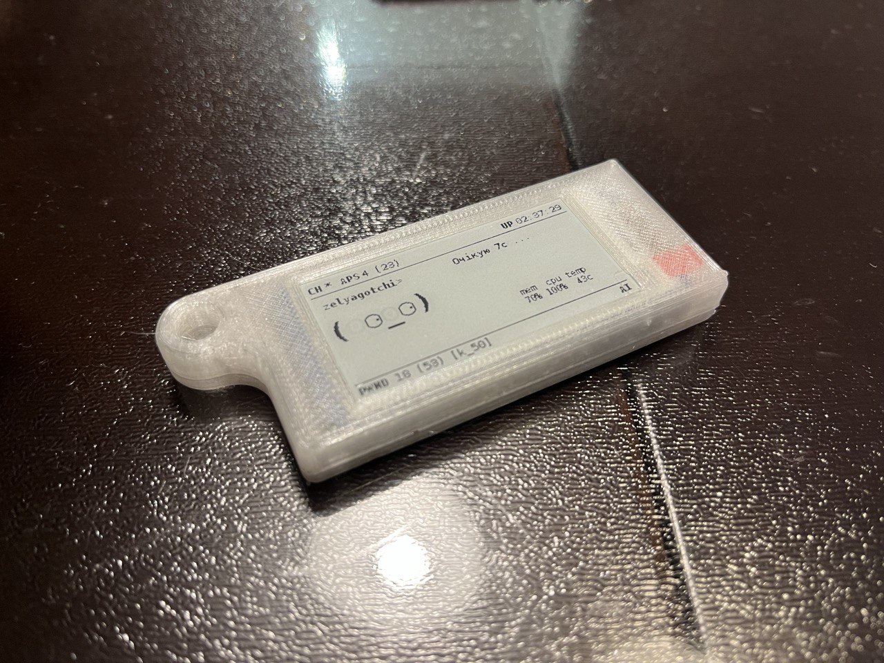 Slim Pwnagotchi case