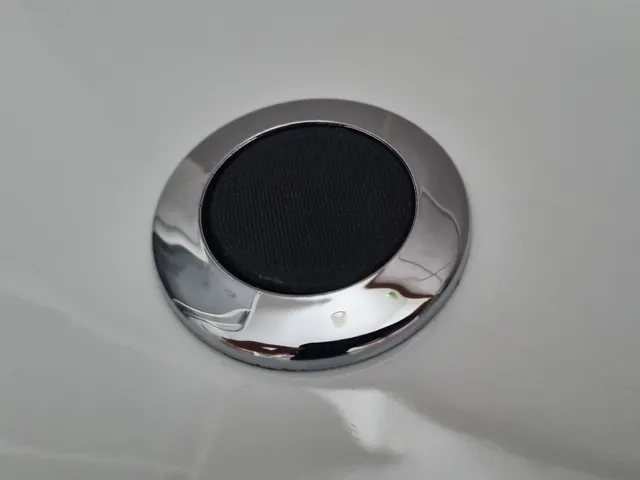 Toilet flush button